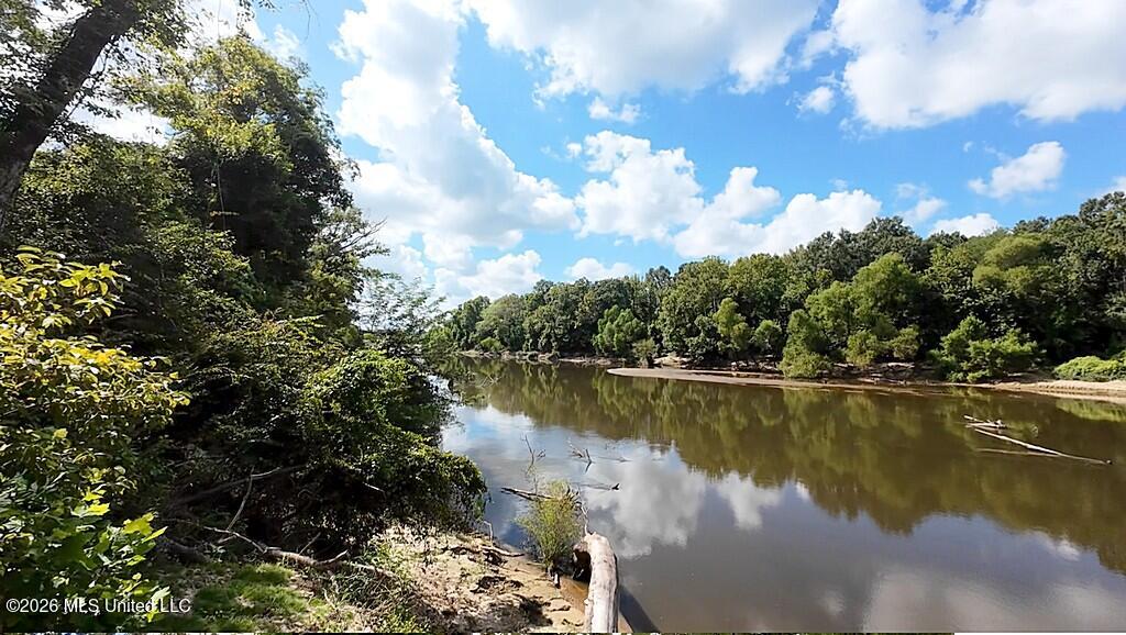 River Road Property Photo 29
