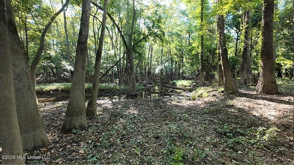 River Road Property Photo 41