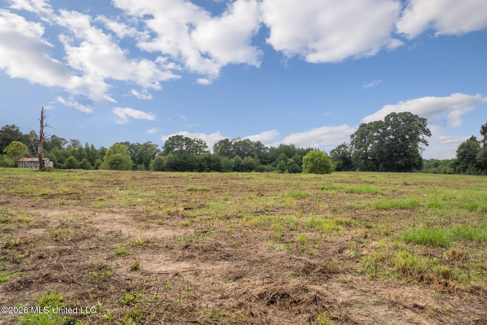 759 Lavelle Ladner Road Property Photo 31