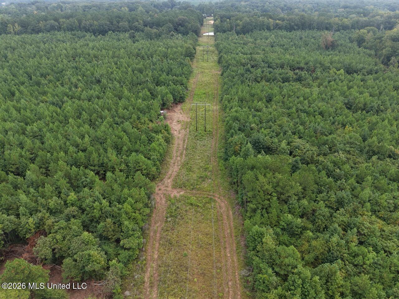 11852 Hwy 24 Property Photo 14