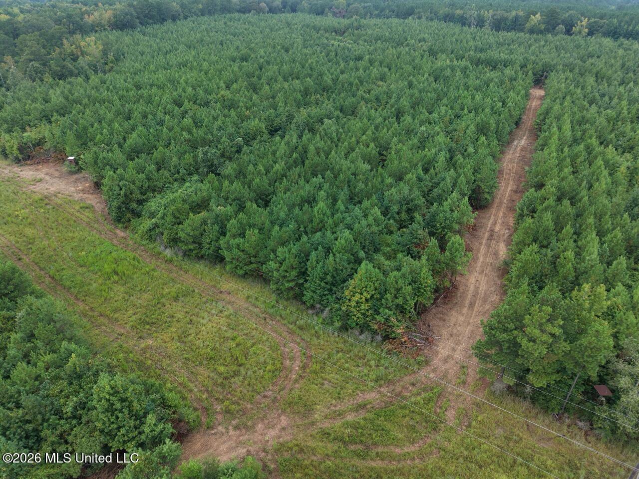 11852 Hwy 24 Property Photo 15
