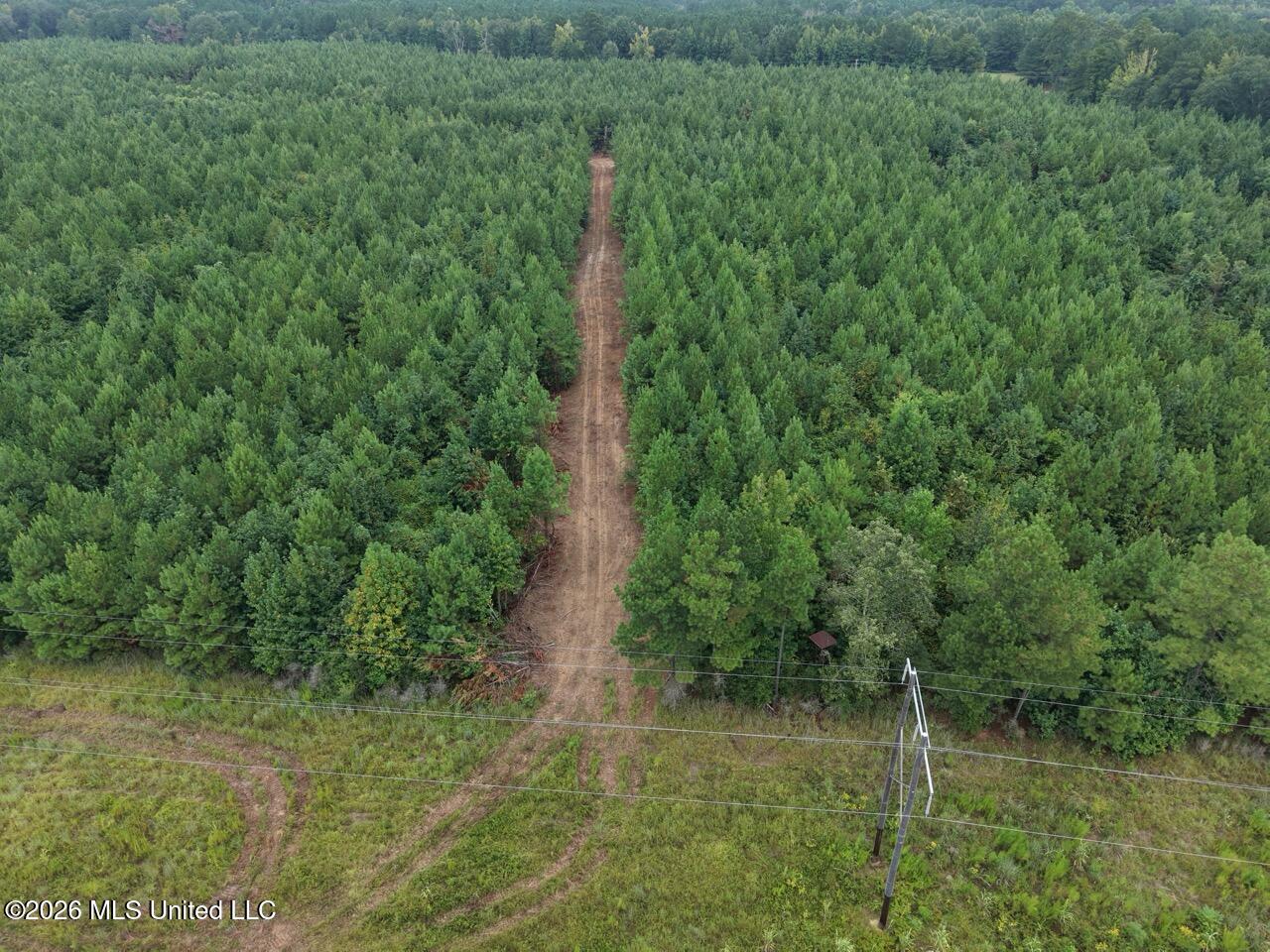 11852 Hwy 24 Property Photo 16