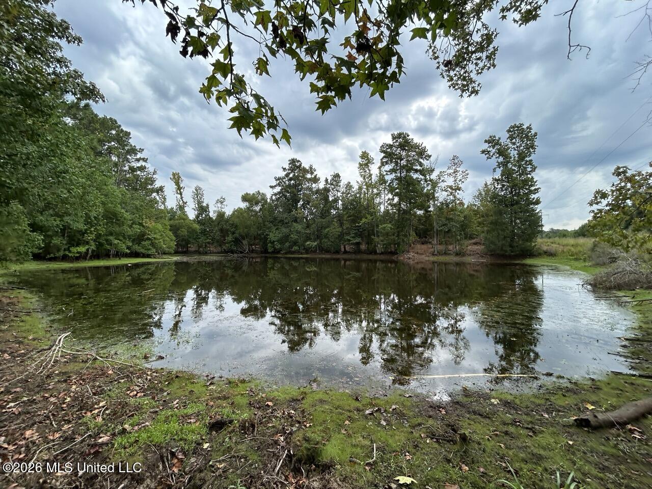 11852 Hwy 24 Property Photo 19