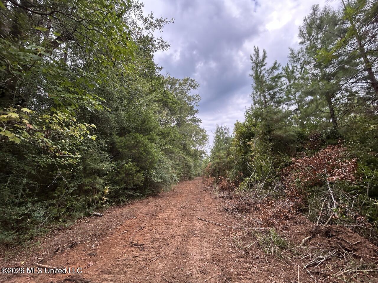 11852 Hwy 24 Property Photo 20