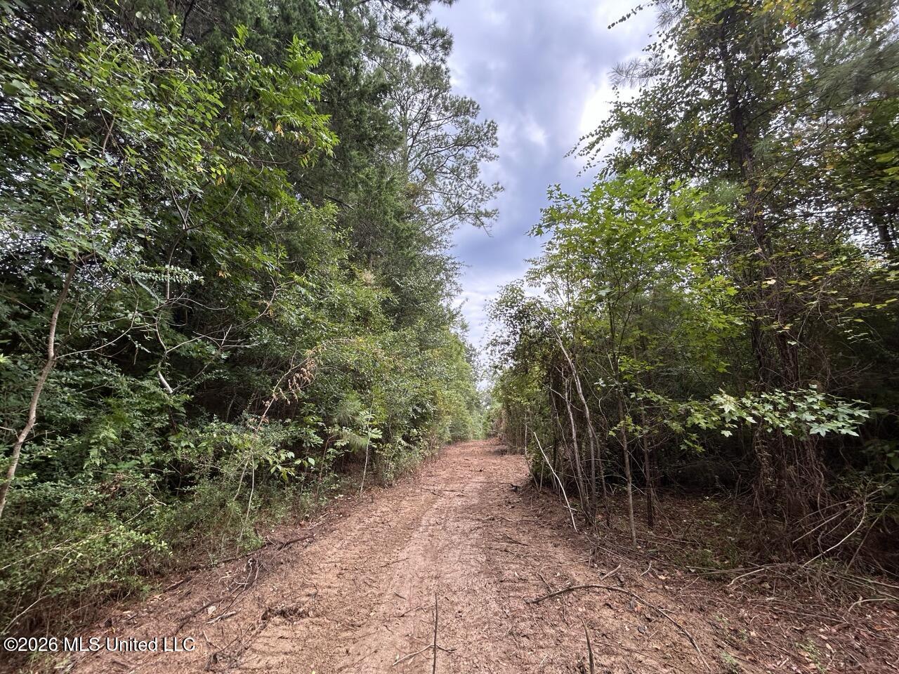 11852 Hwy 24 Property Photo 21