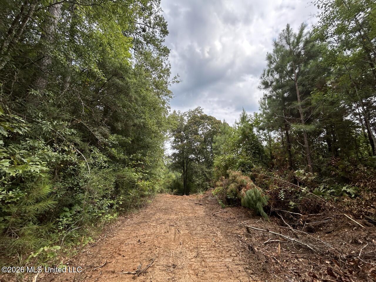 11852 Hwy 24 Property Photo 22