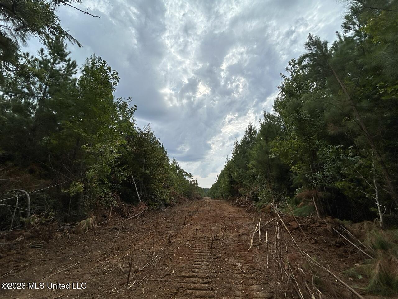 11852 Hwy 24 Property Photo 23