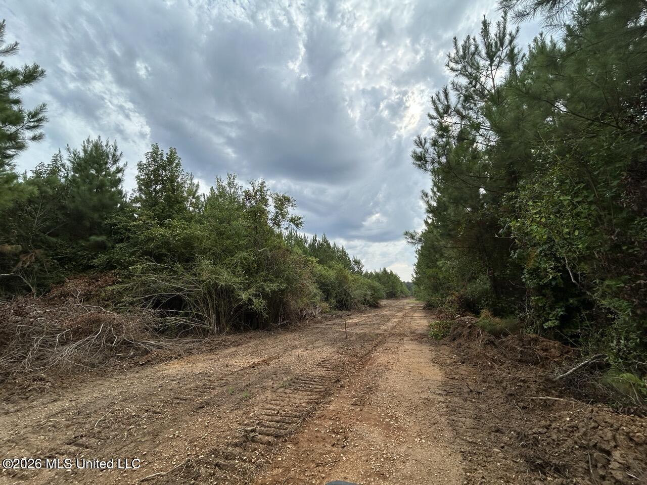 11852 Hwy 24 Property Photo 25