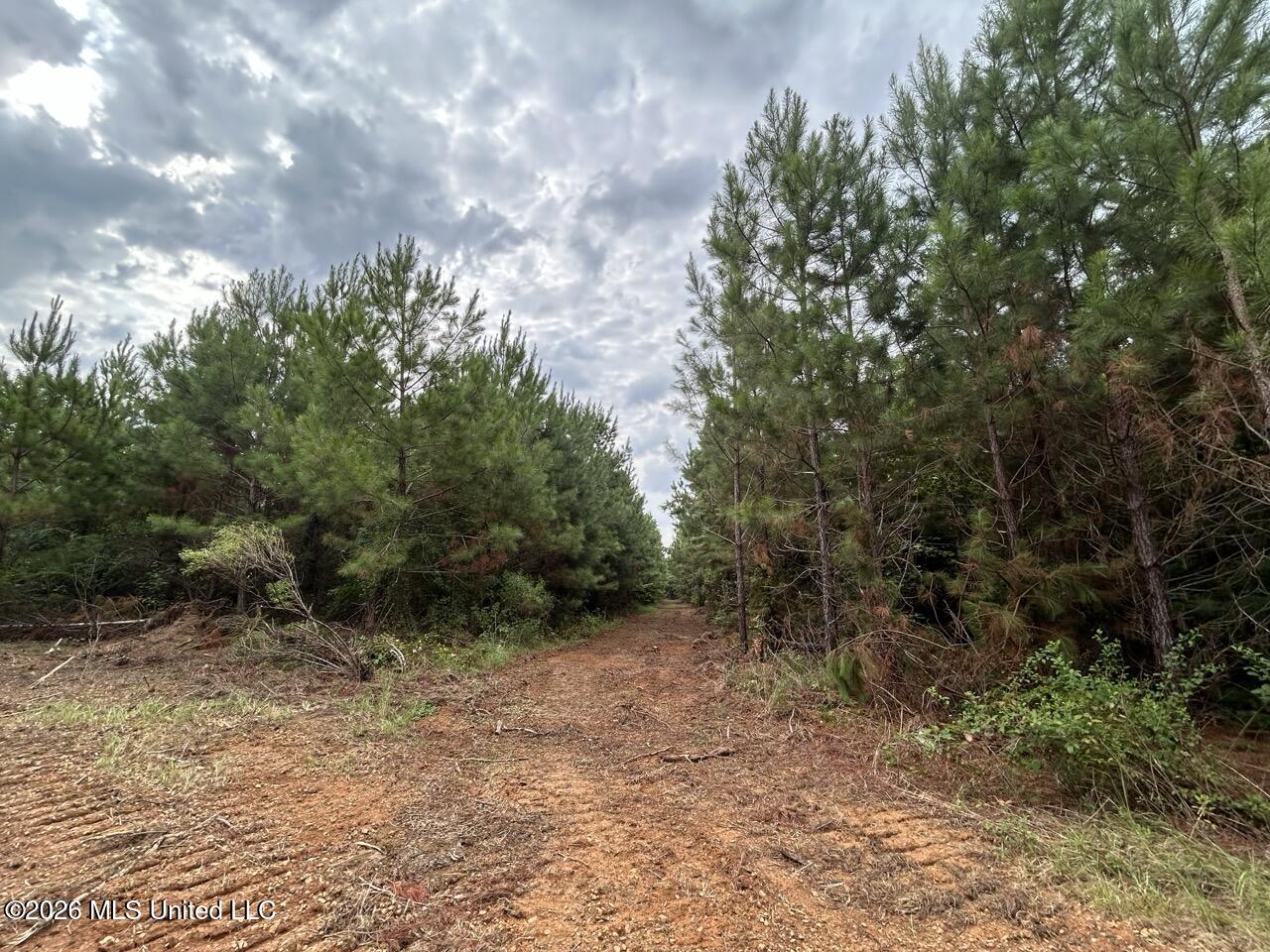11852 Hwy 24 Property Photo 28