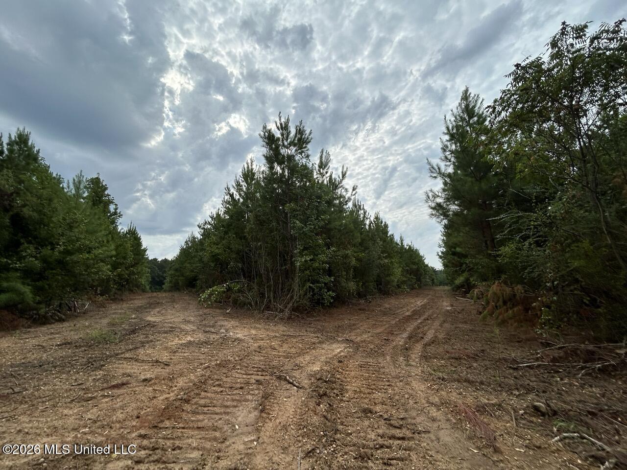 11852 Hwy 24 Property Photo 29