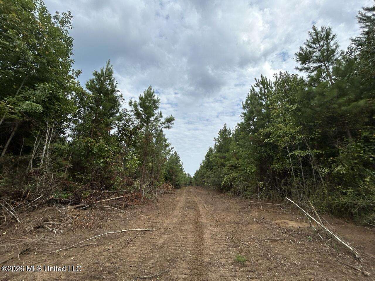 11852 Hwy 24 Property Photo 32