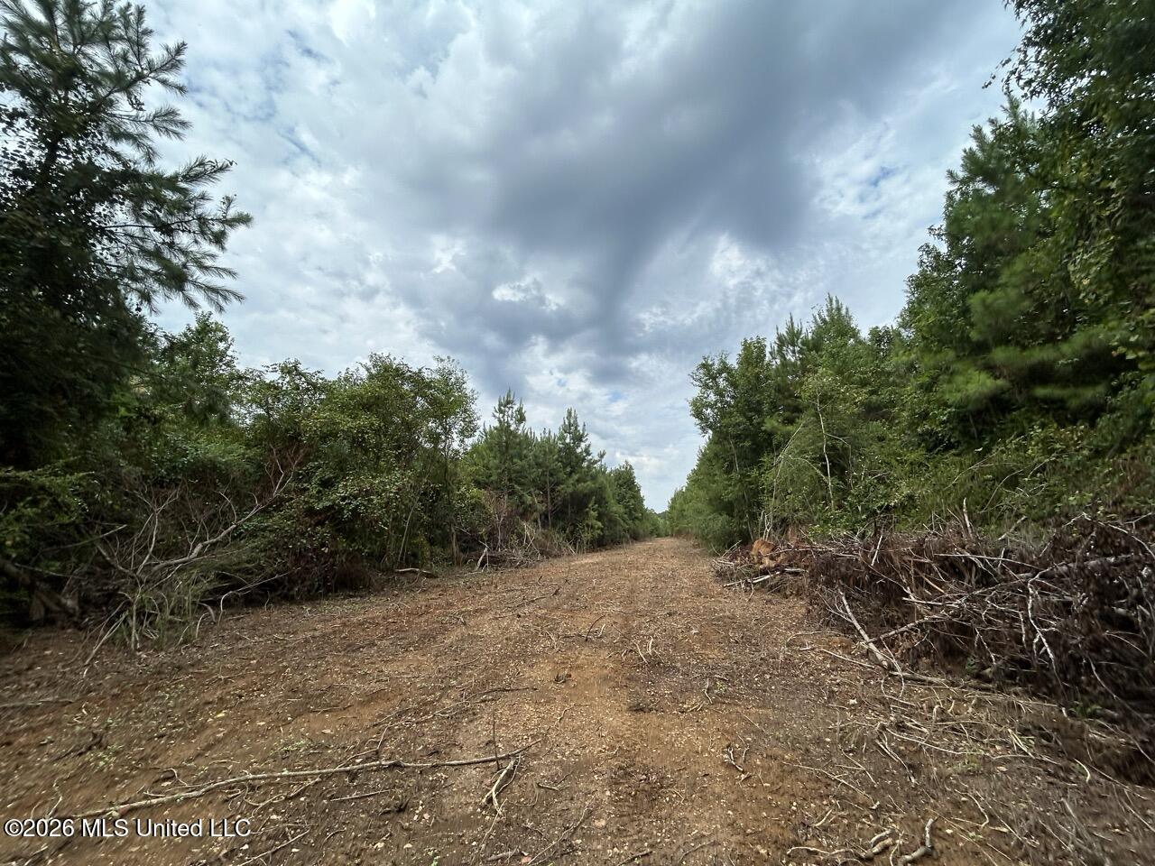 11852 Hwy 24 Property Photo 33