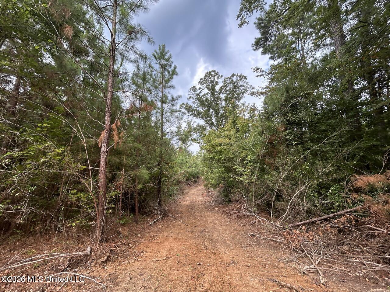 11852 Hwy 24 Property Photo 34