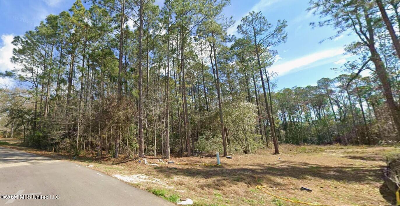 14597 Country Wood Drive Property Photo 3