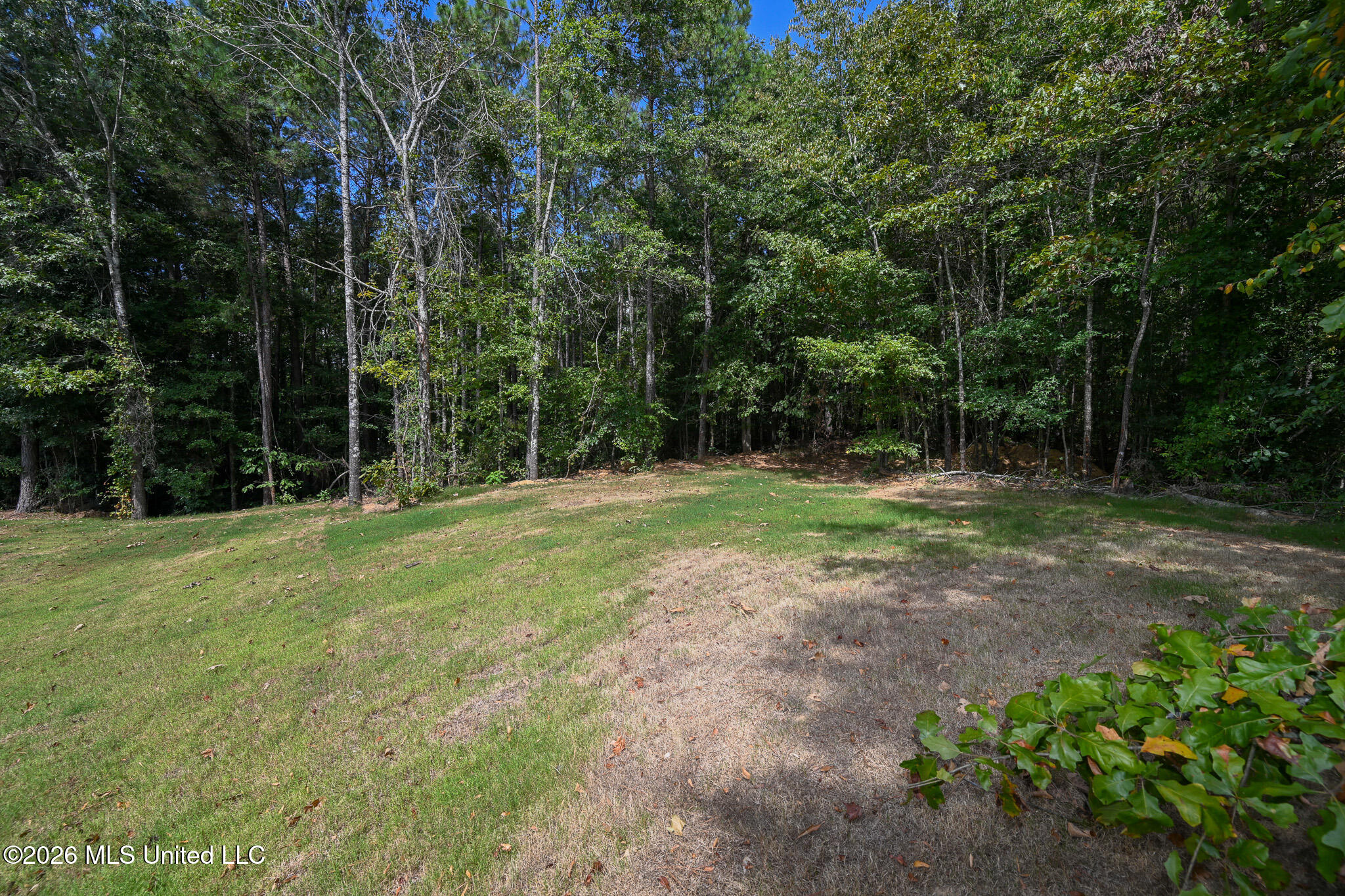 13976 Myers Plantation Road Property Photo 63
