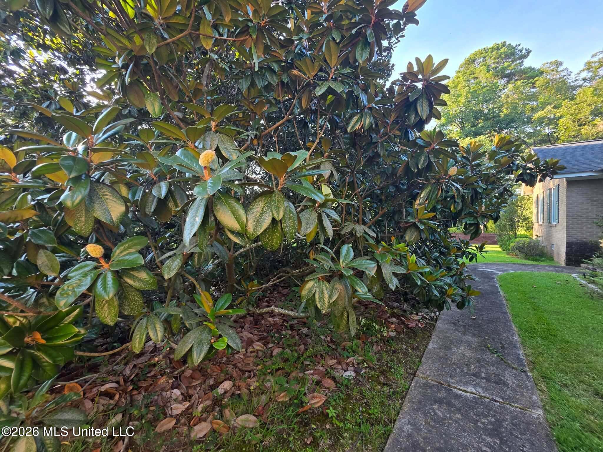 1300 S Meridian Street Property Photo 10