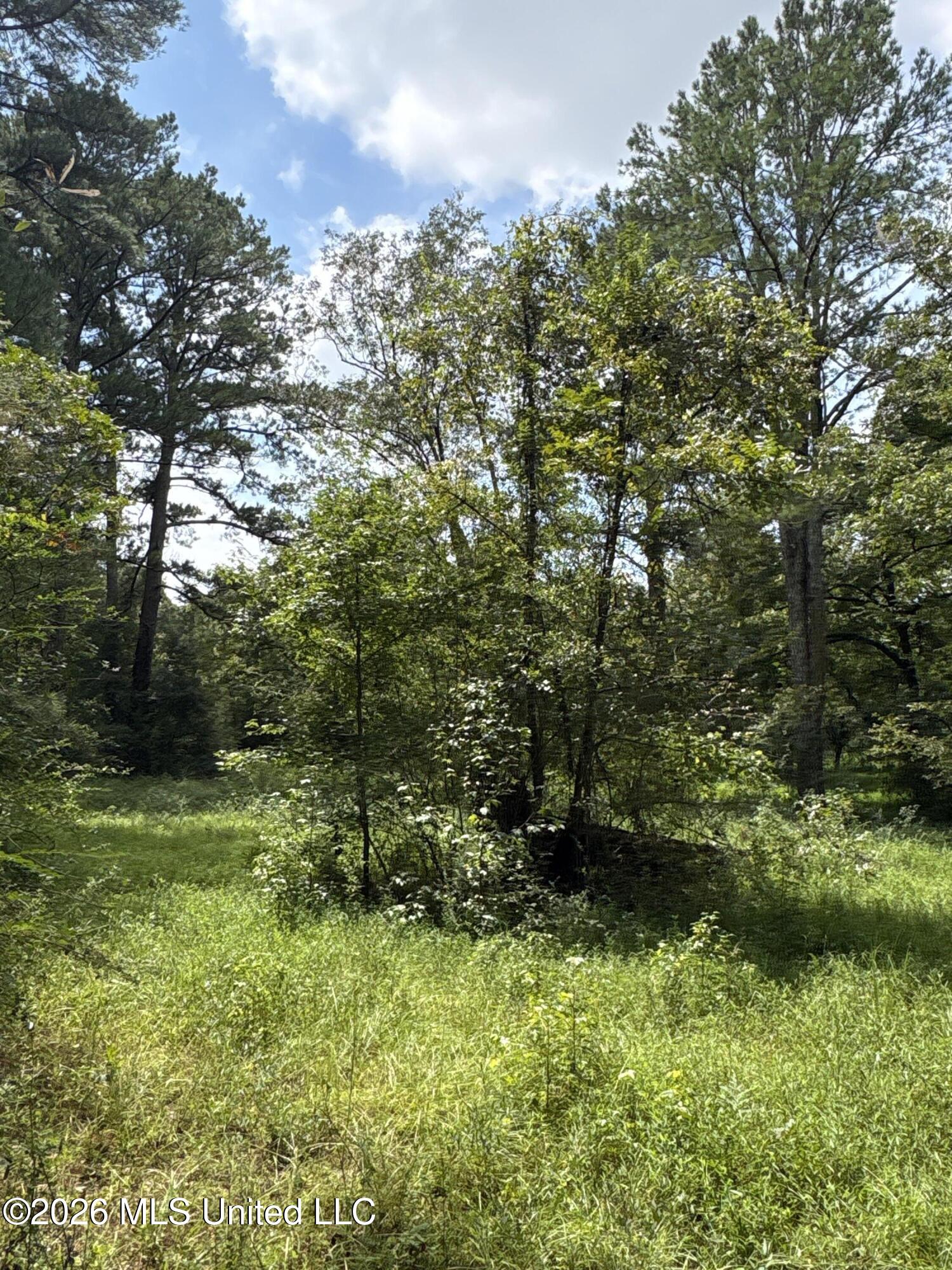 1300 S Meridian Street Property Photo 51
