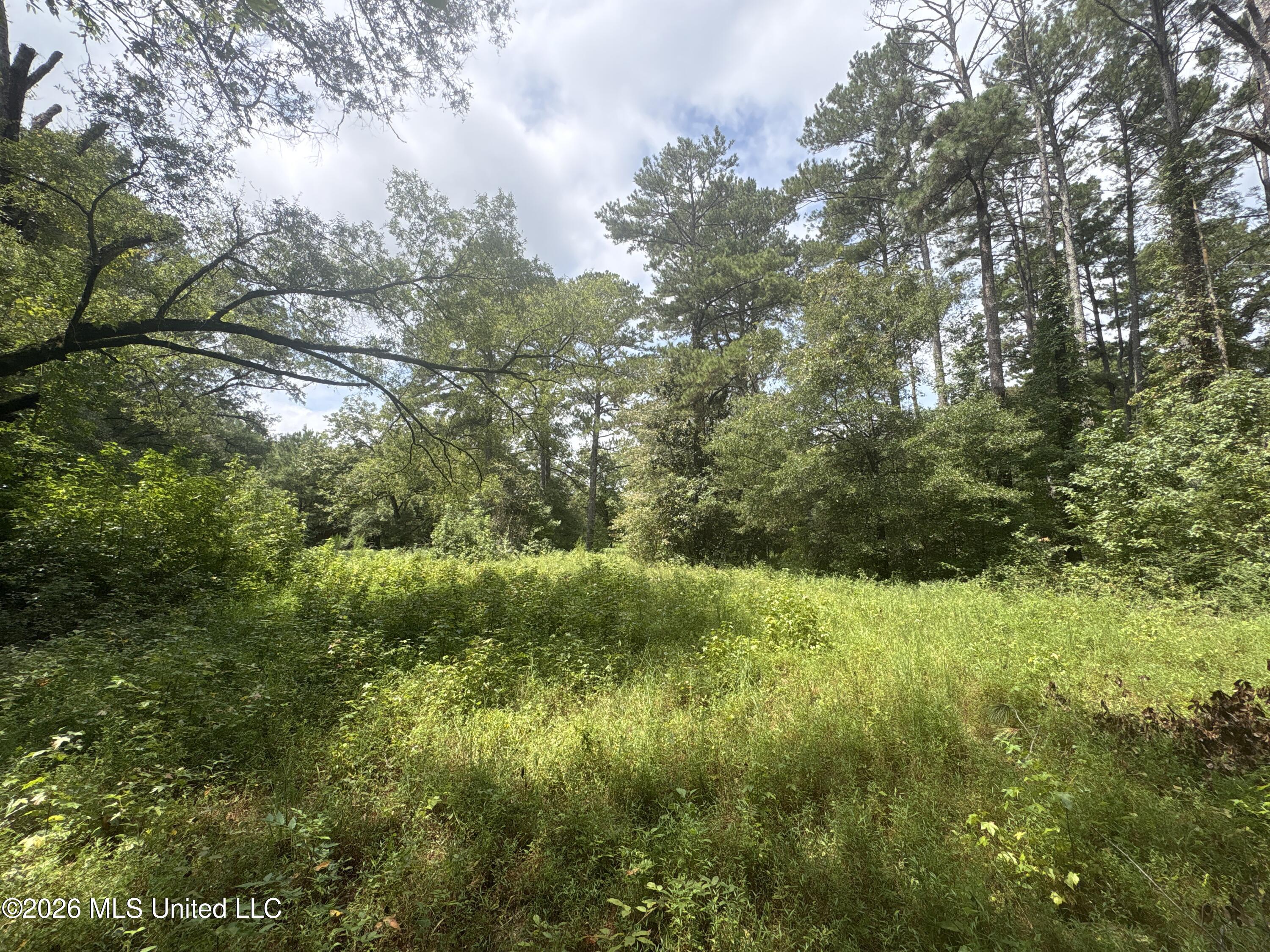 1300 S Meridian Street Property Photo 52