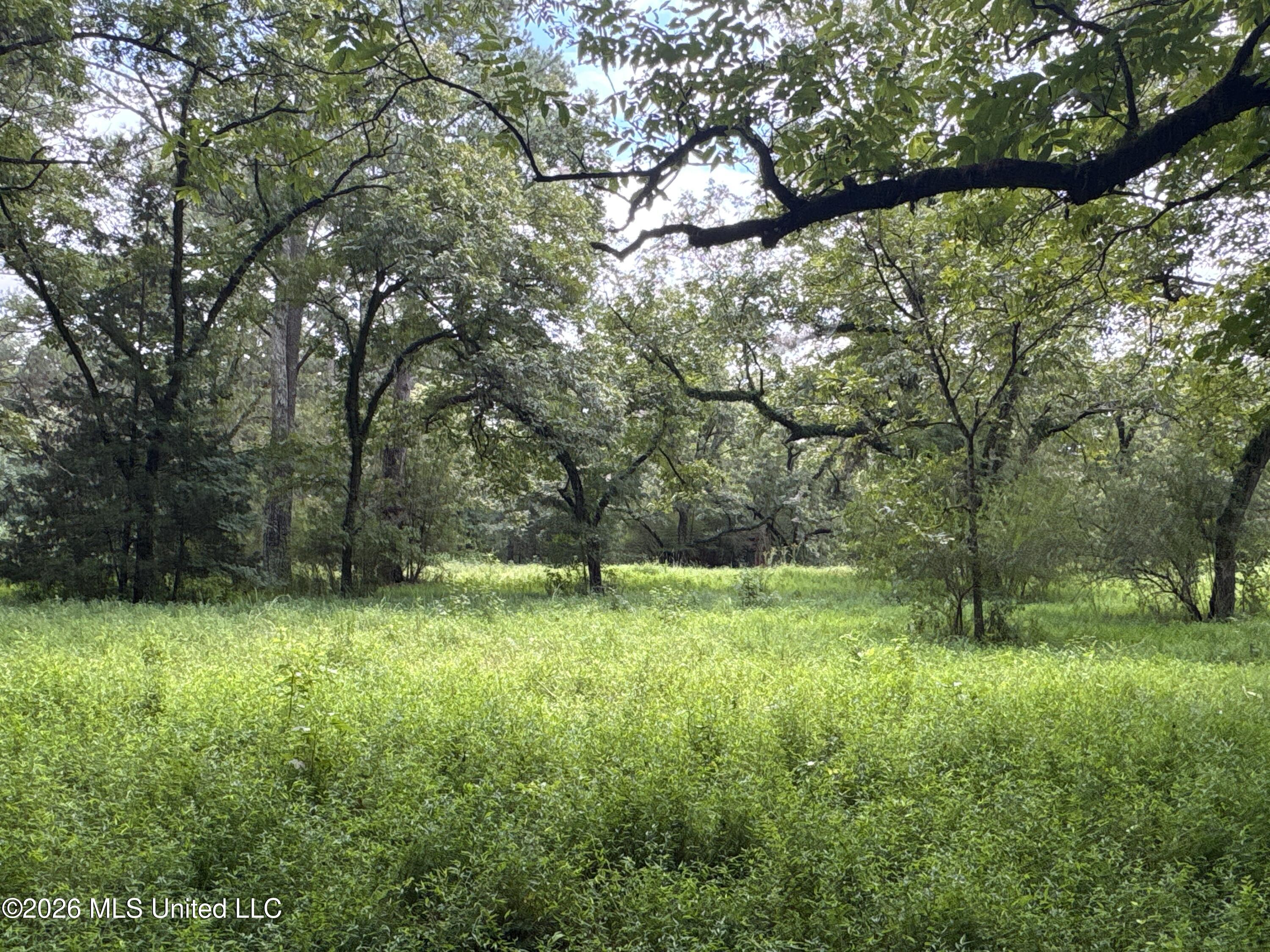 1300 S Meridian Street Property Photo 54