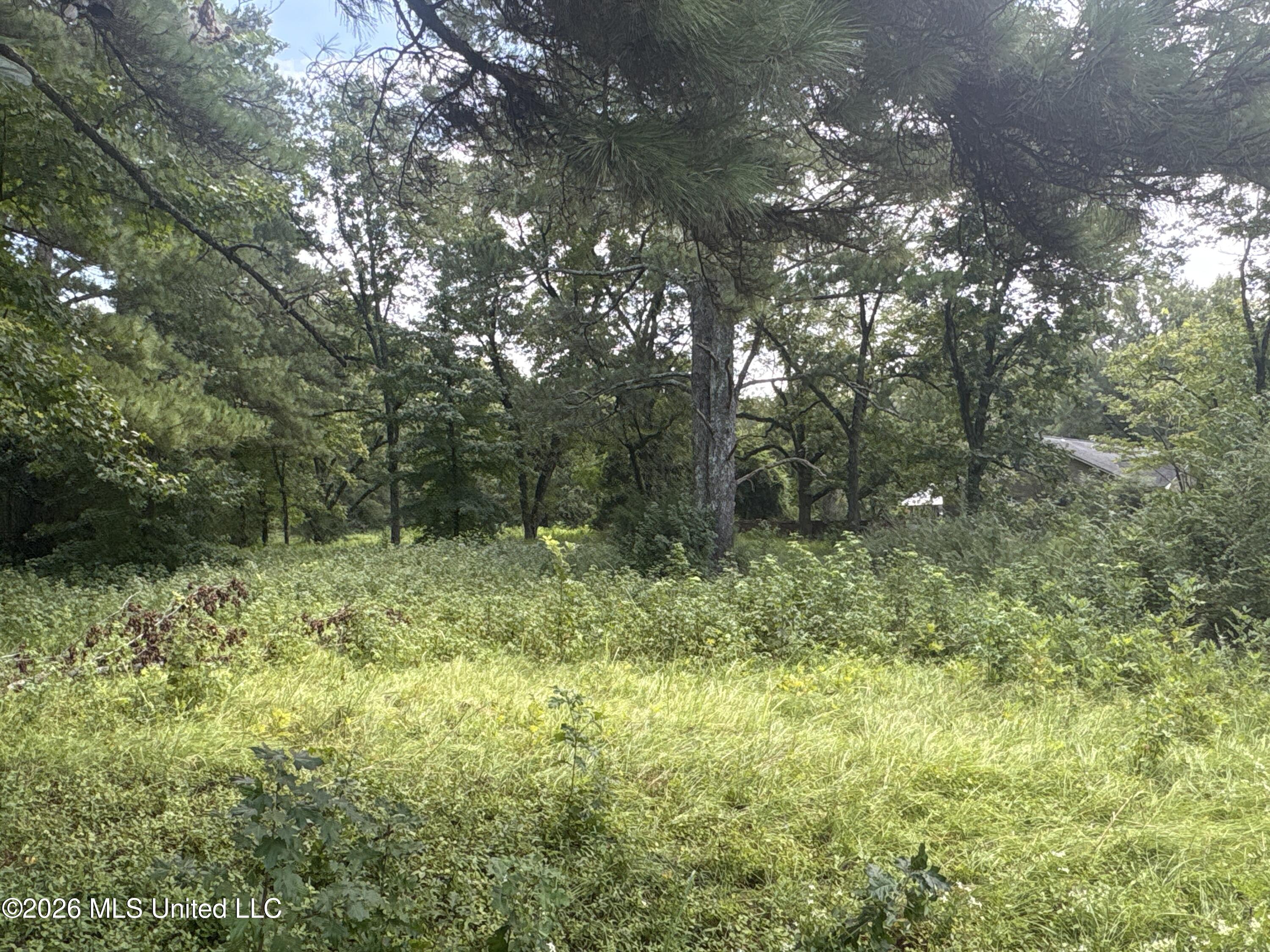 1300 S Meridian Street Property Photo 55