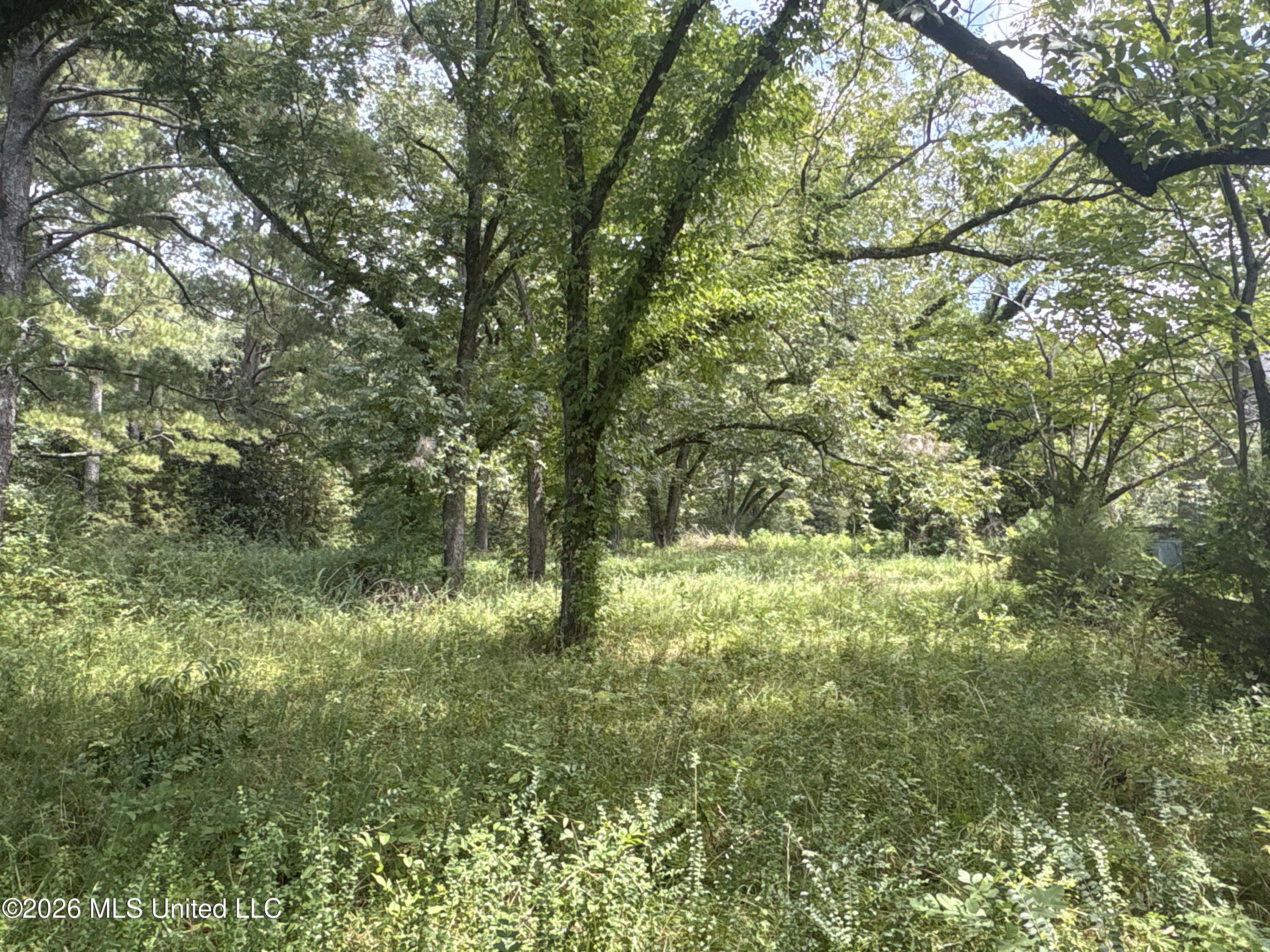 1300 S Meridian Street Property Photo 56