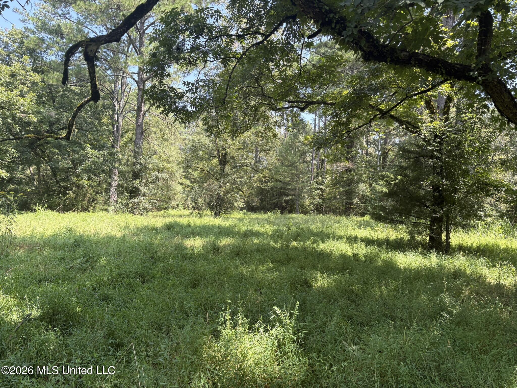 1300 S Meridian Street Property Photo 59