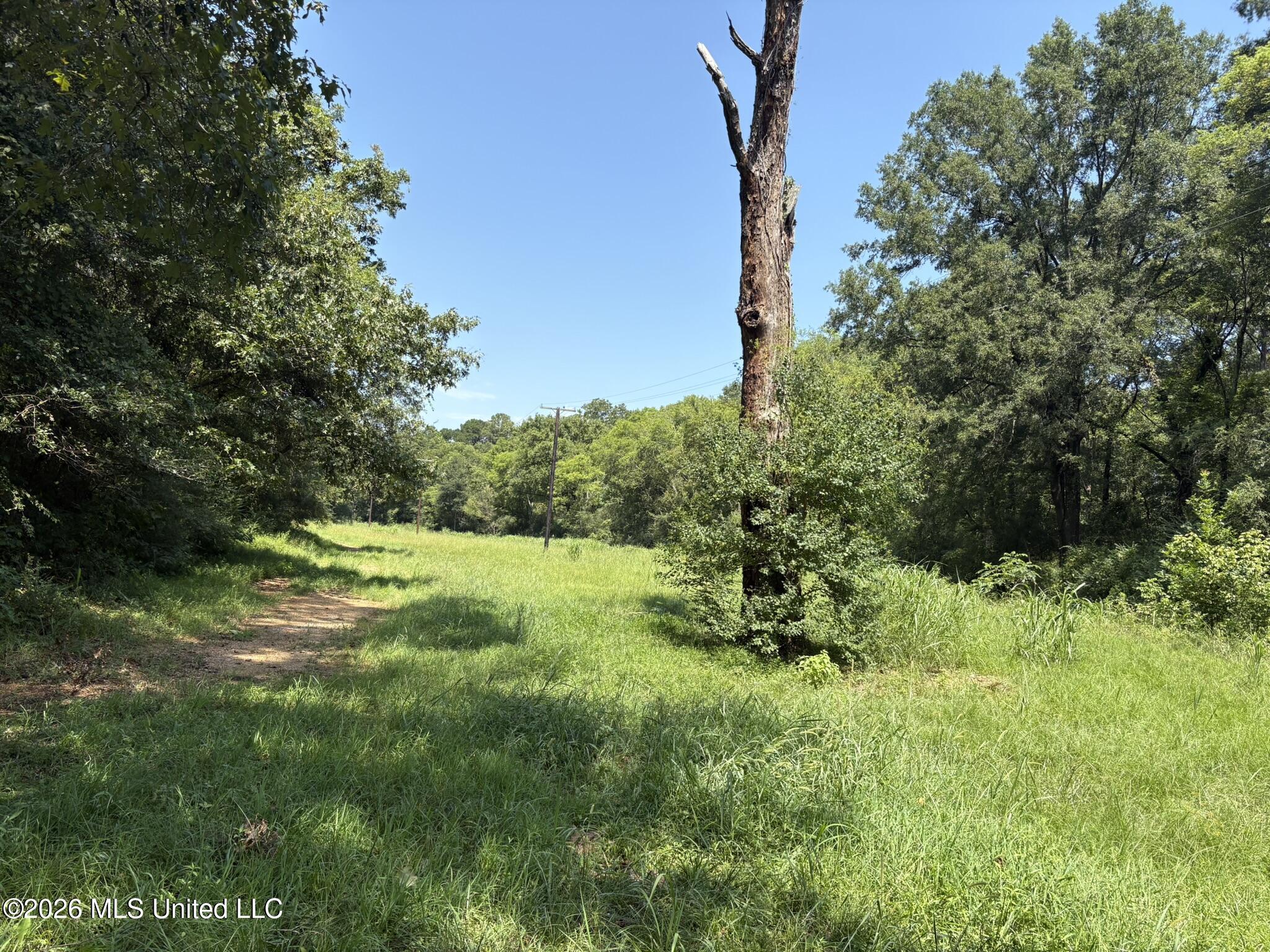 1300 S Meridian Street Property Photo 61