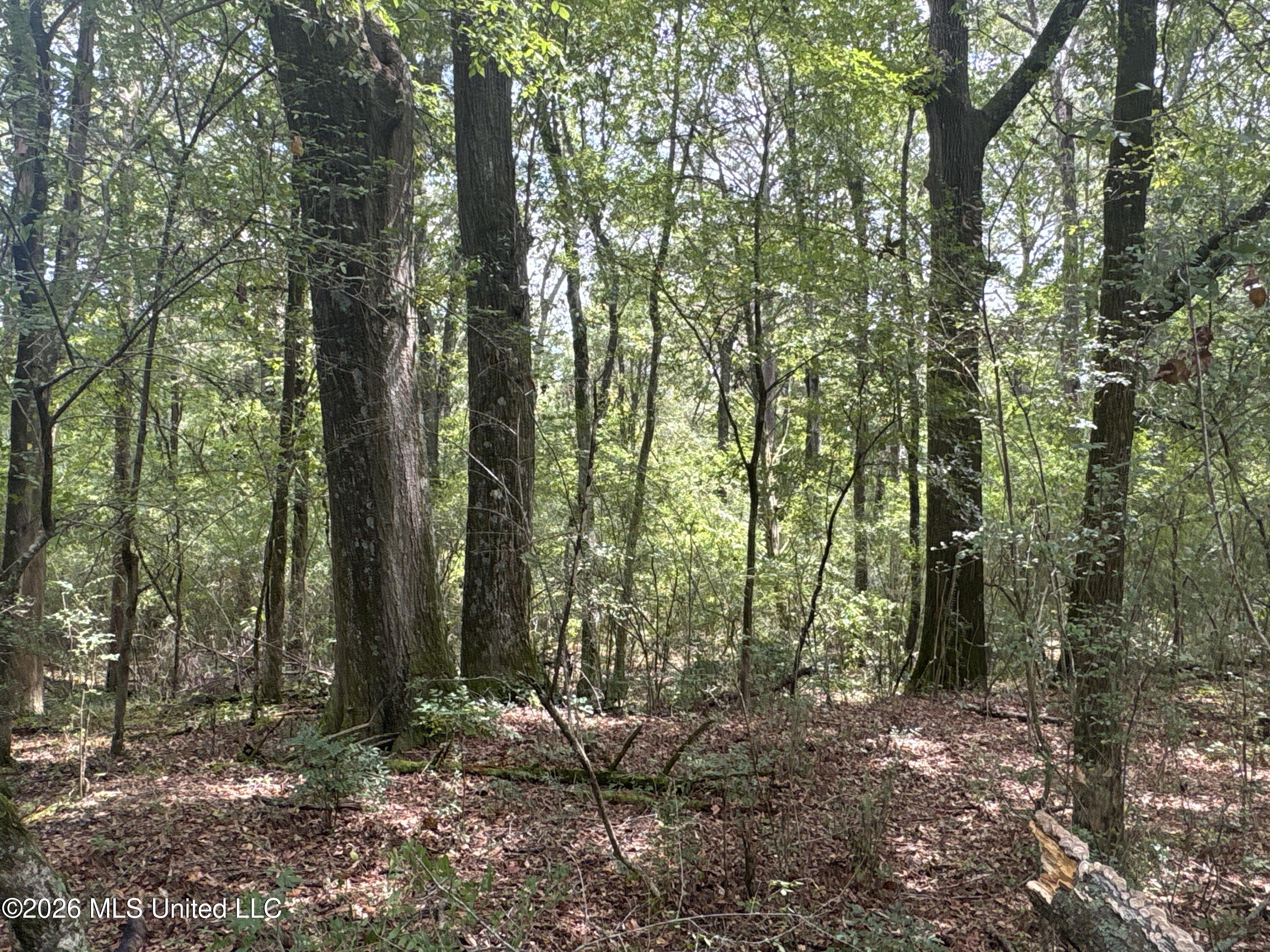 1300 S Meridian Street Property Photo 65