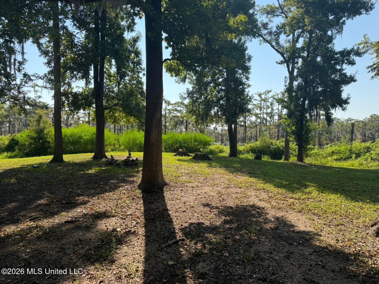 Lake Mary Road Property Photo 2