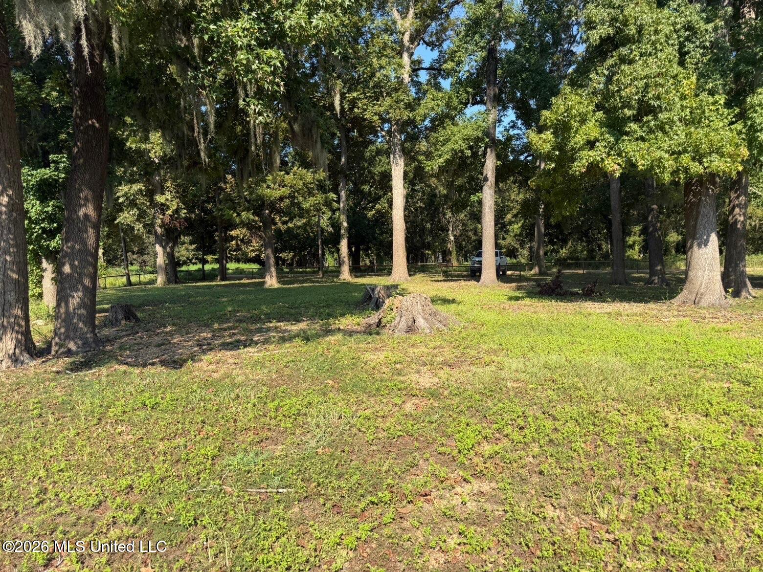 Lake Mary Road Property Photo 6