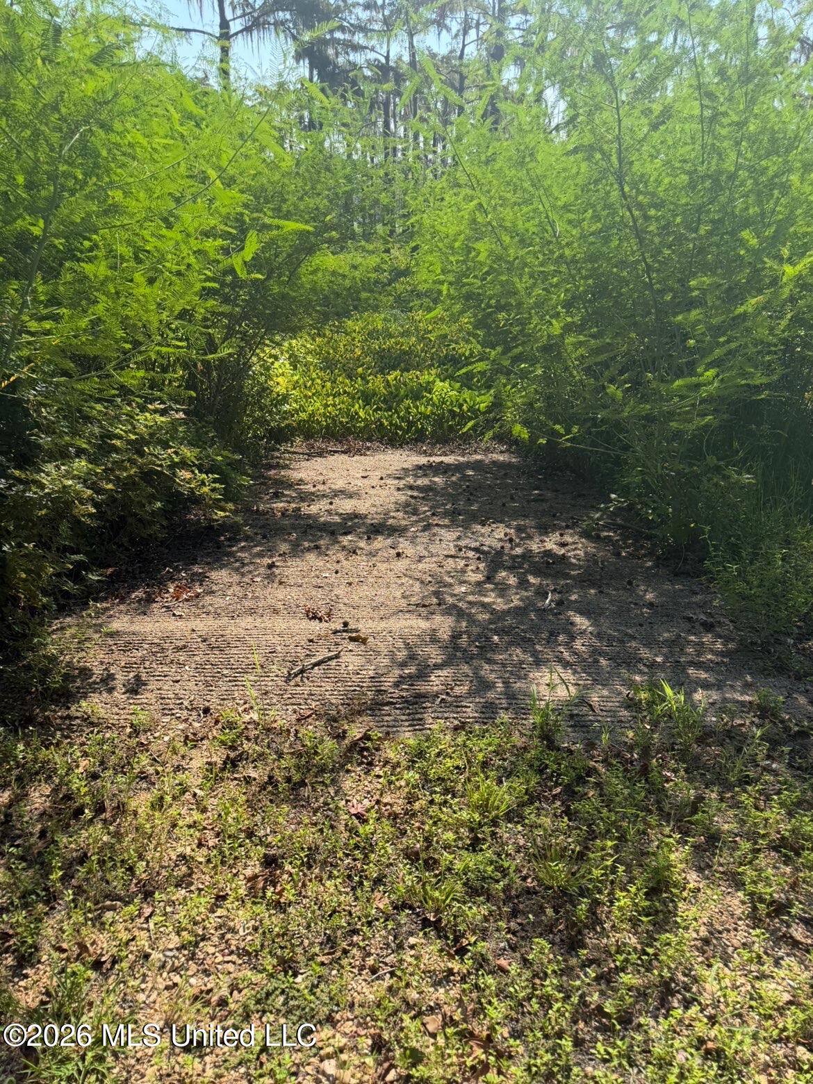 Lake Mary Road Property Photo 7
