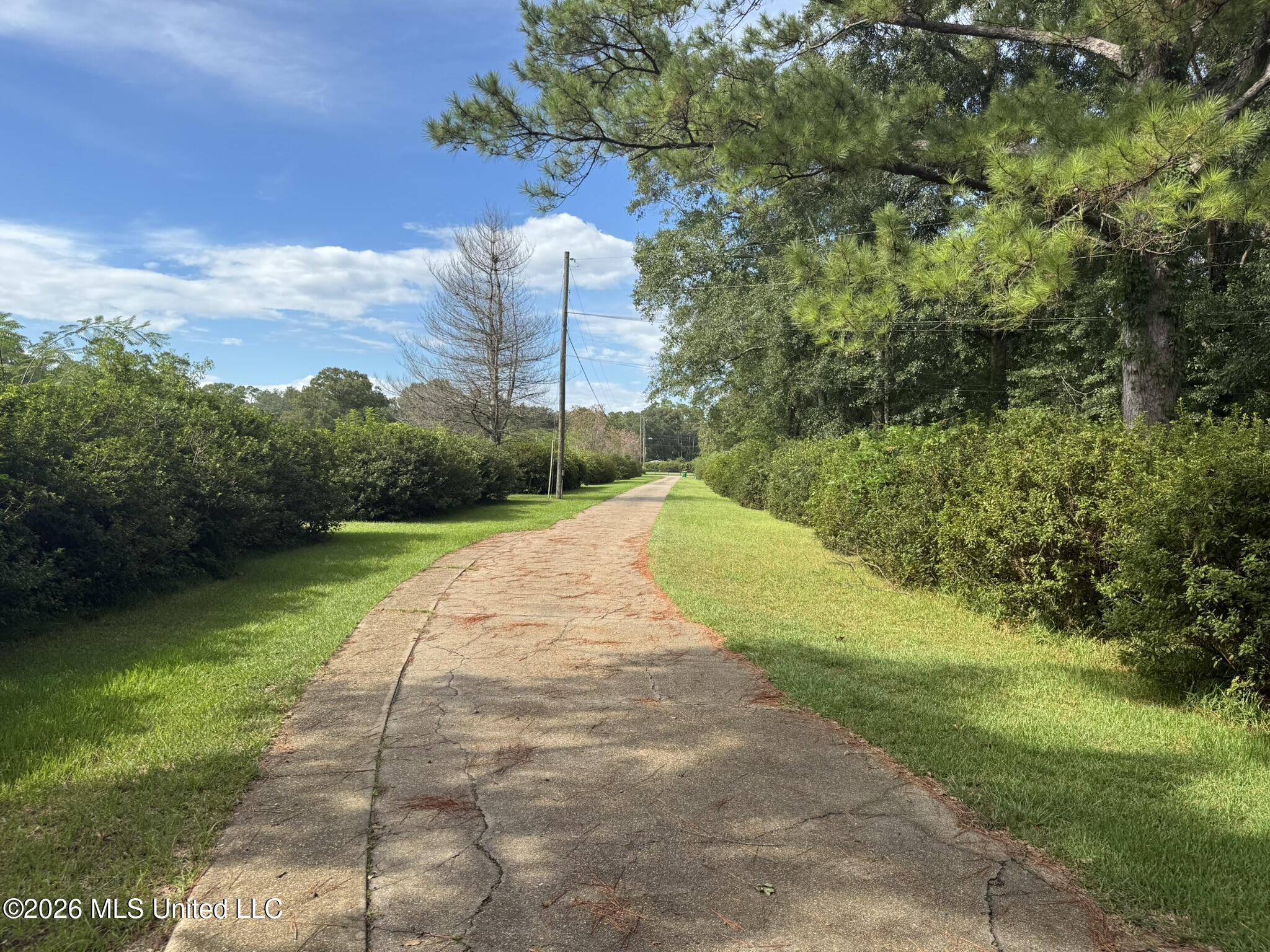 22500 Jones Lane Property Photo 16