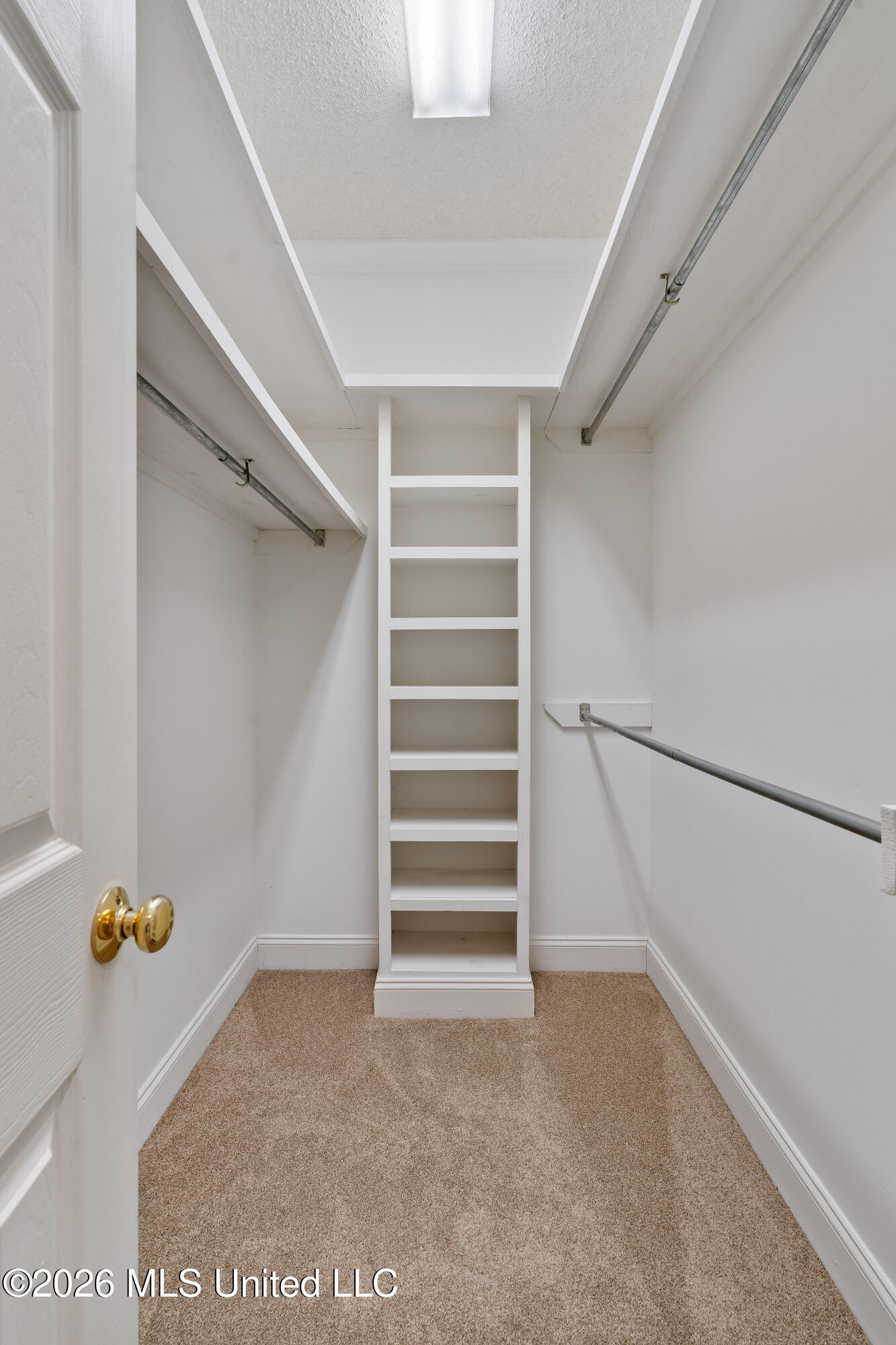 4 Woodleaf Street Property Photo 23
