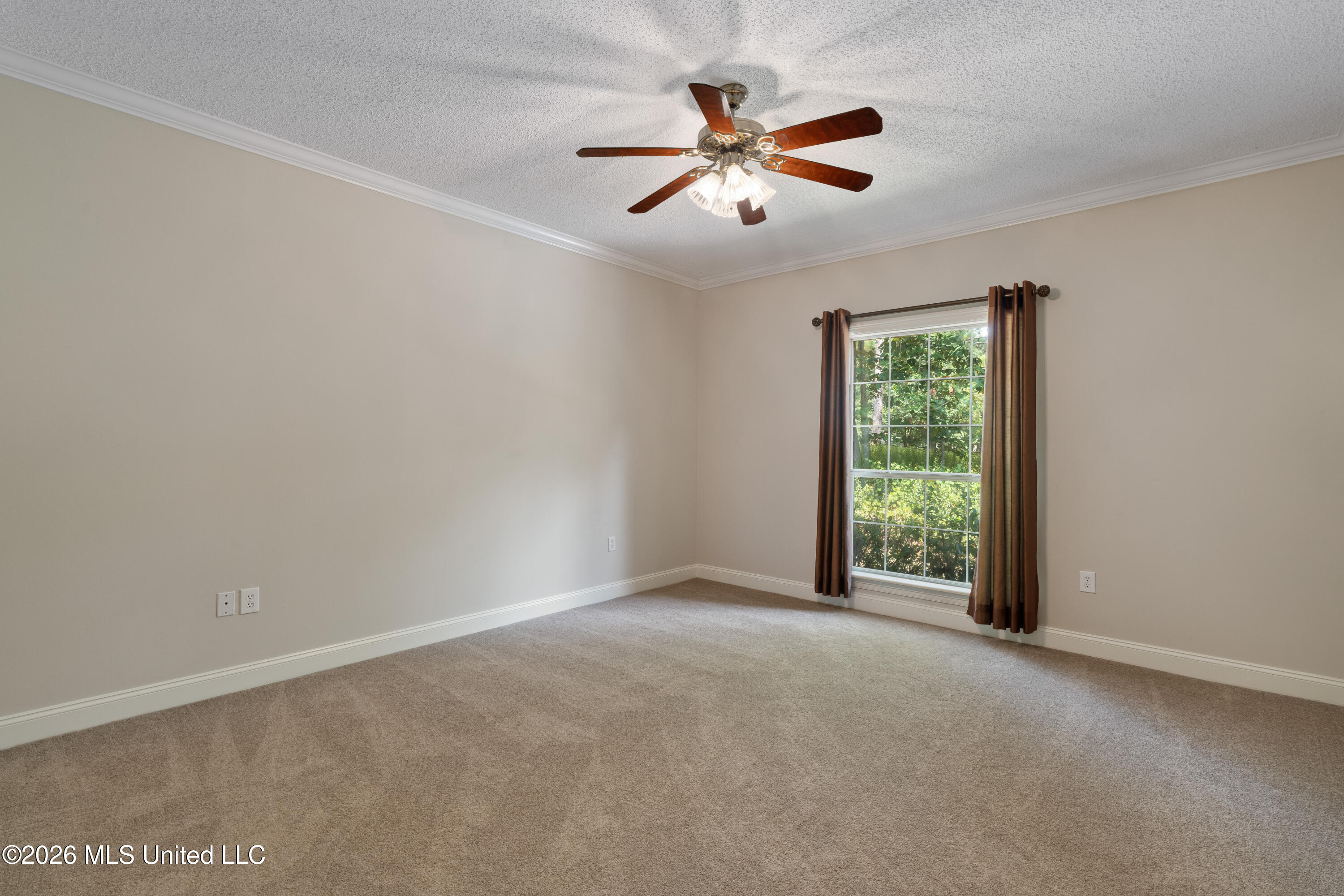4 Woodleaf Street Property Photo 28