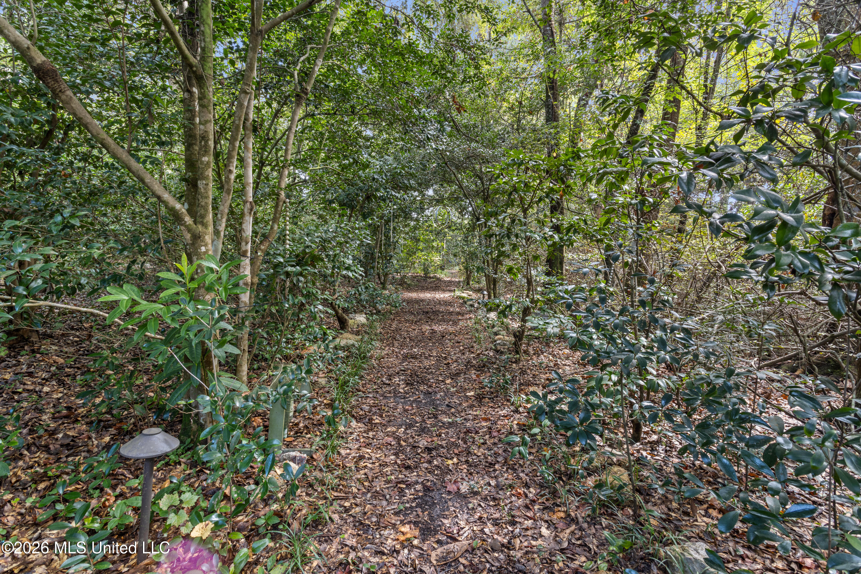 1238 Iberville Drive Property Photo 83