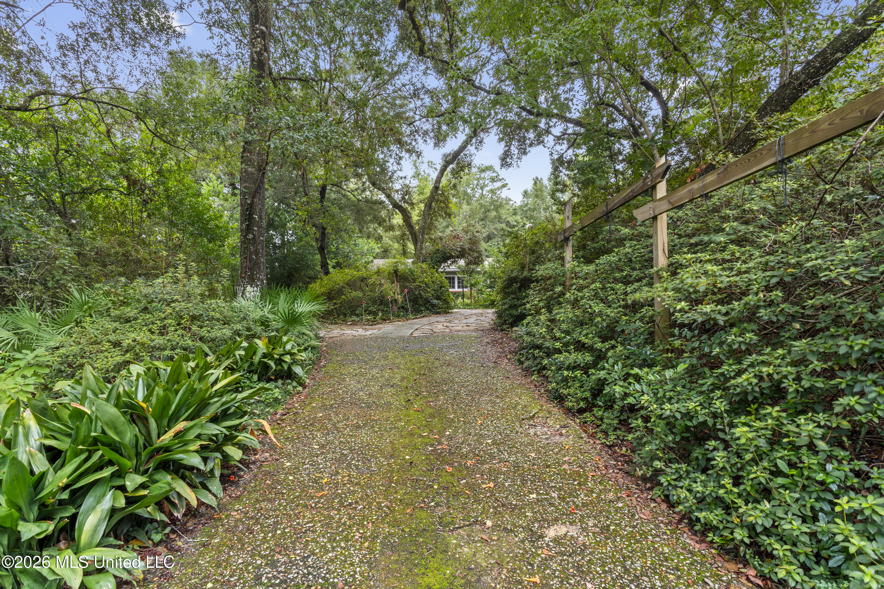 1238 Iberville Drive Property Photo 90