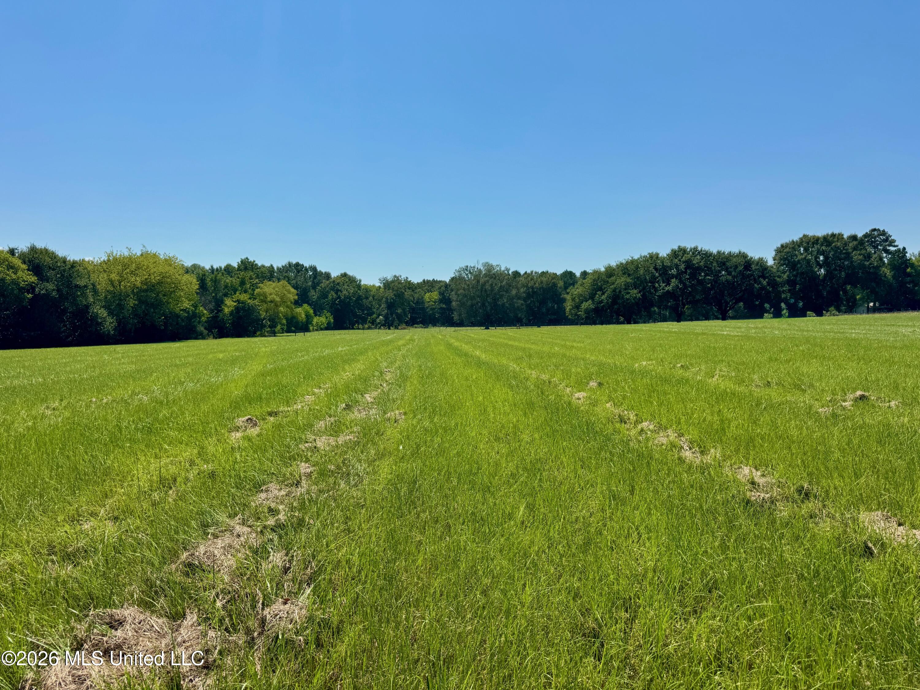 0006 Green Acres Drive Property Photo 8