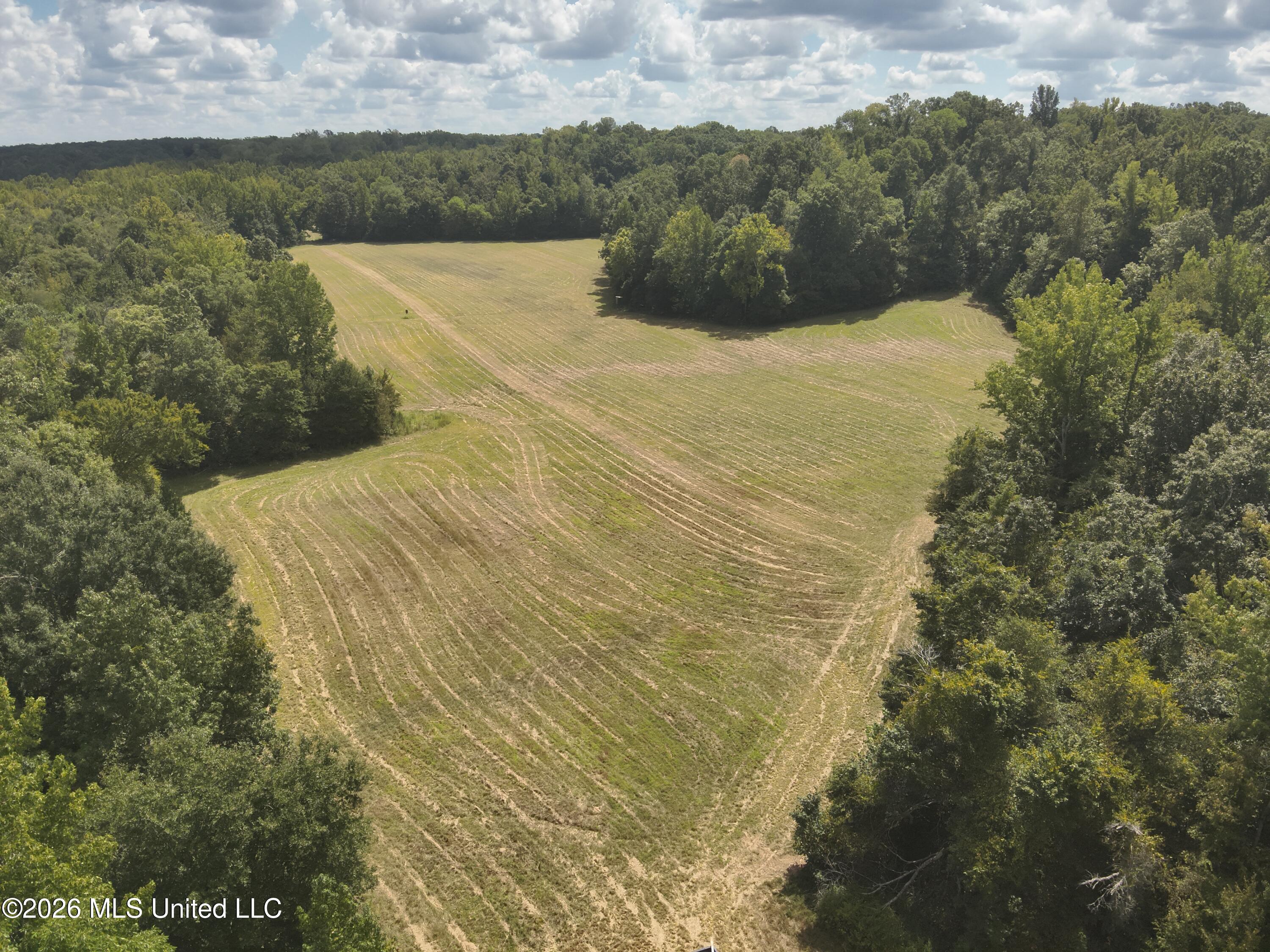 Ms-35