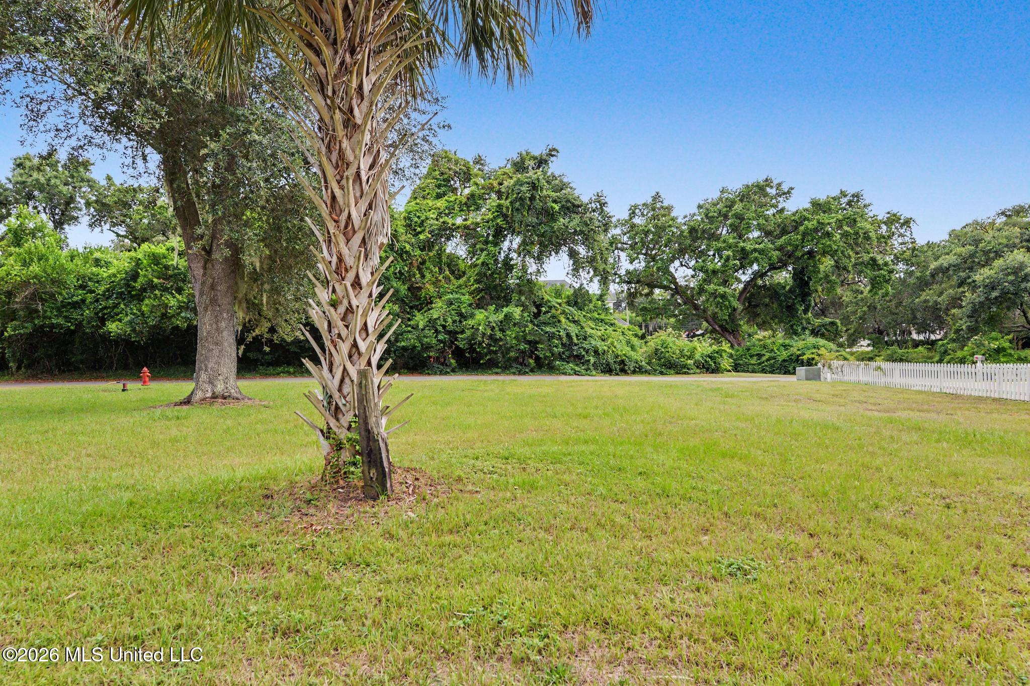 Cedar Lane Property Photo 29