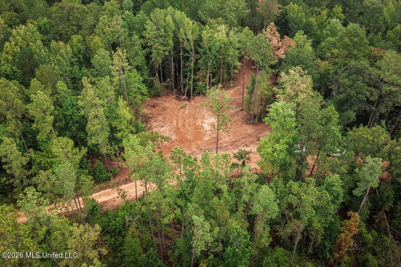 Smyrna Road Sw Property Photo 3
