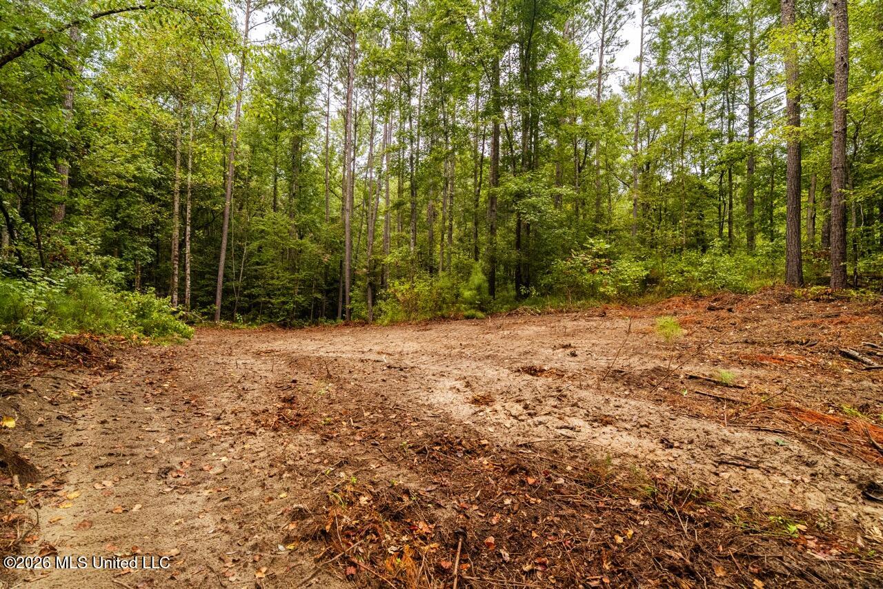 Smyrna Road Sw Property Photo 10