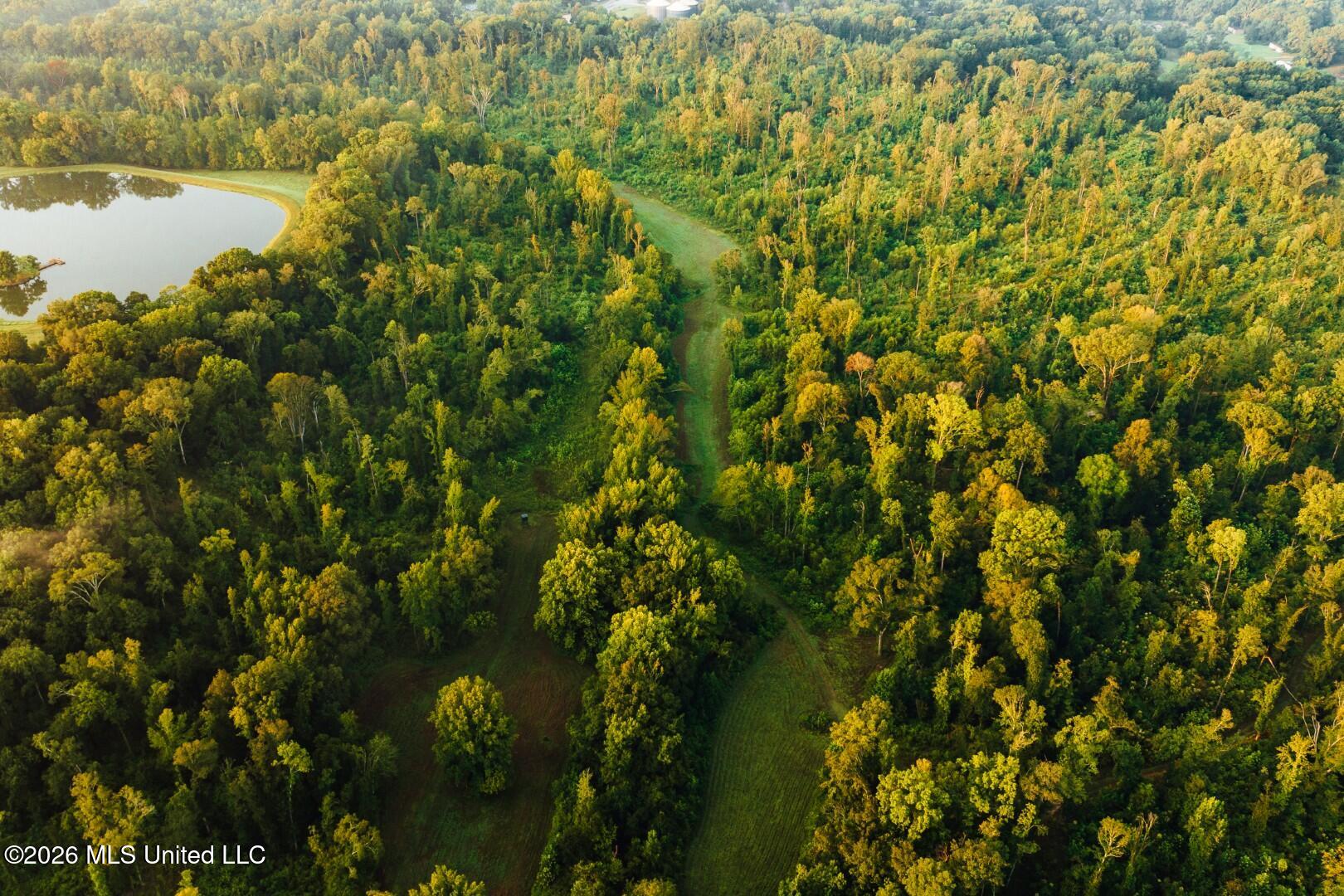 Old Highway 80 Property Photo 23