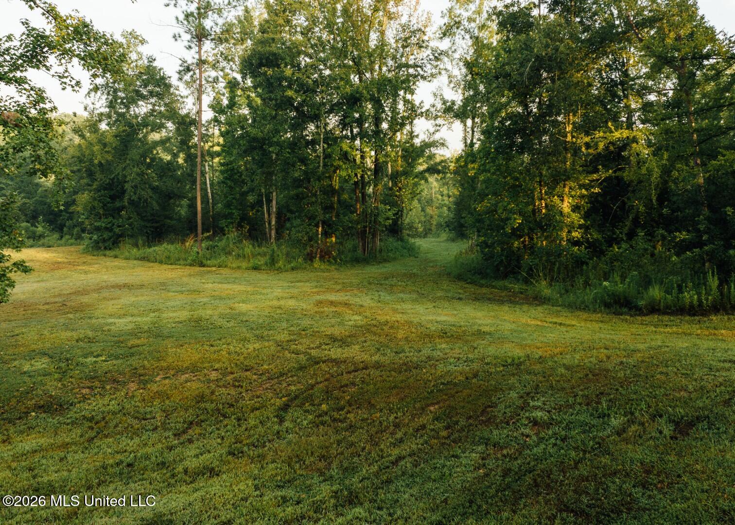 Old Highway 80 Property Photo 38