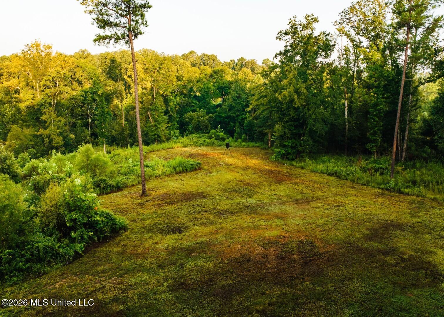 Old Highway 80 Property Photo 39