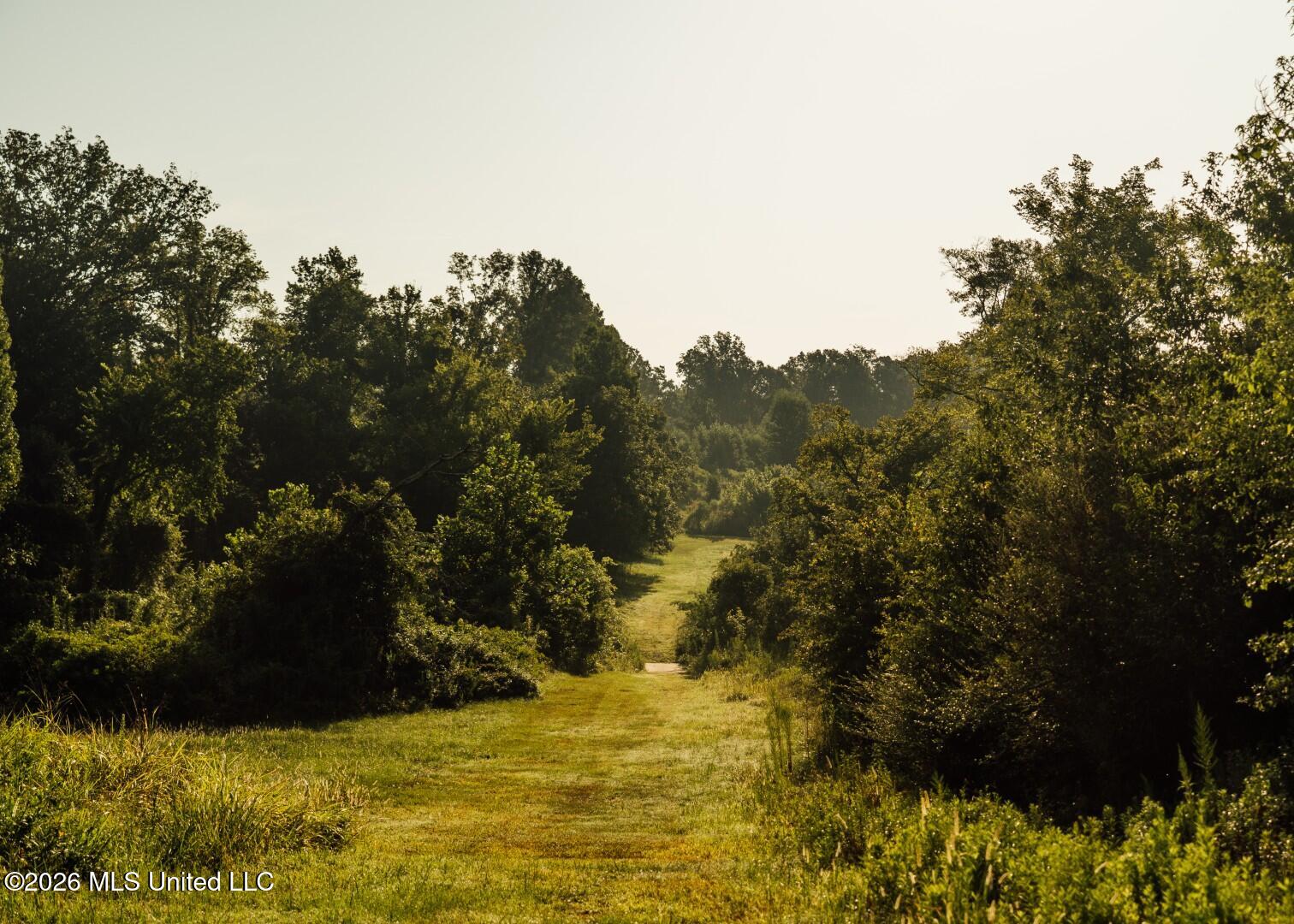 Old Highway 80 Property Photo 87