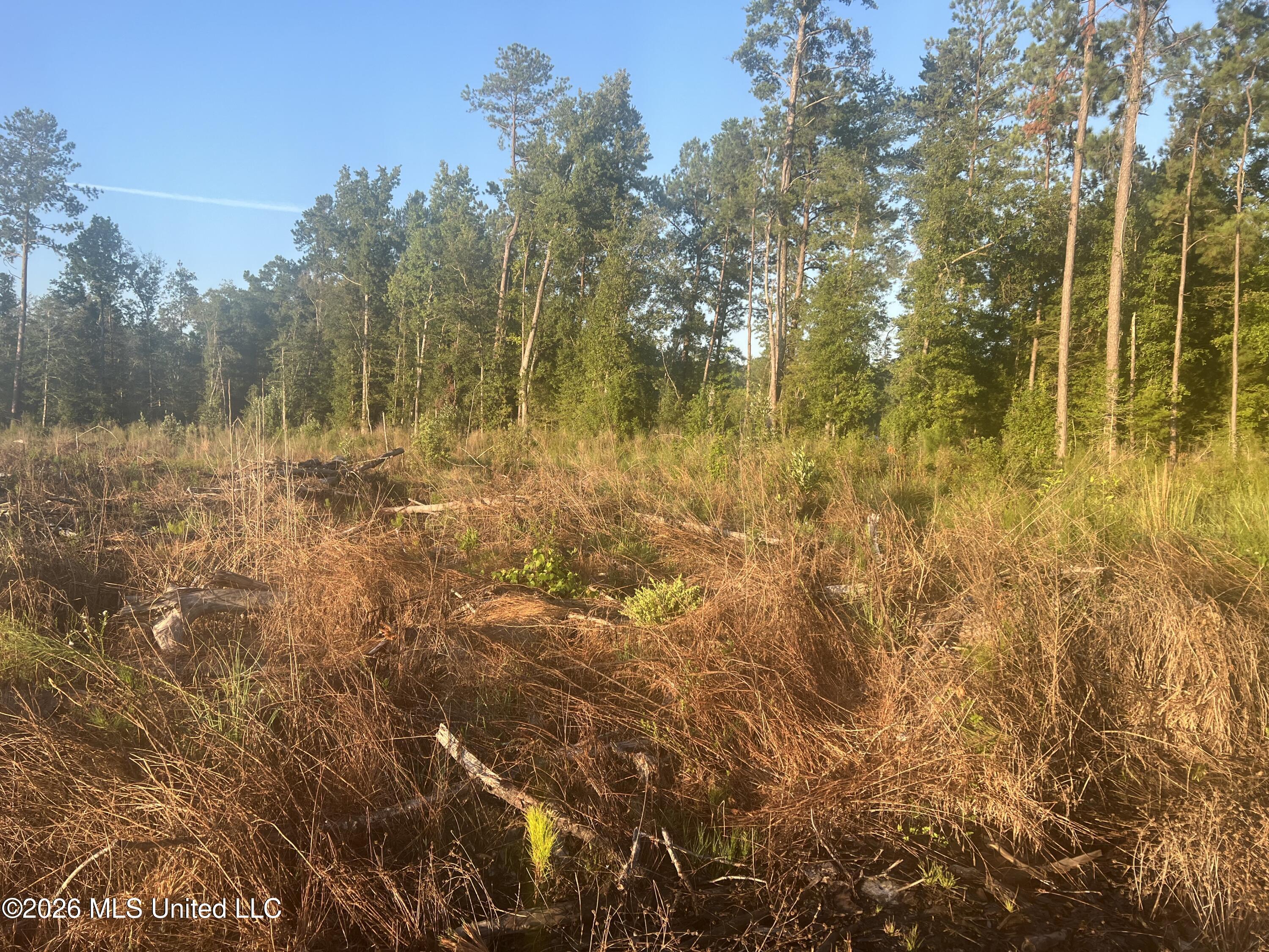 Vernal River Rd Property Photo 5