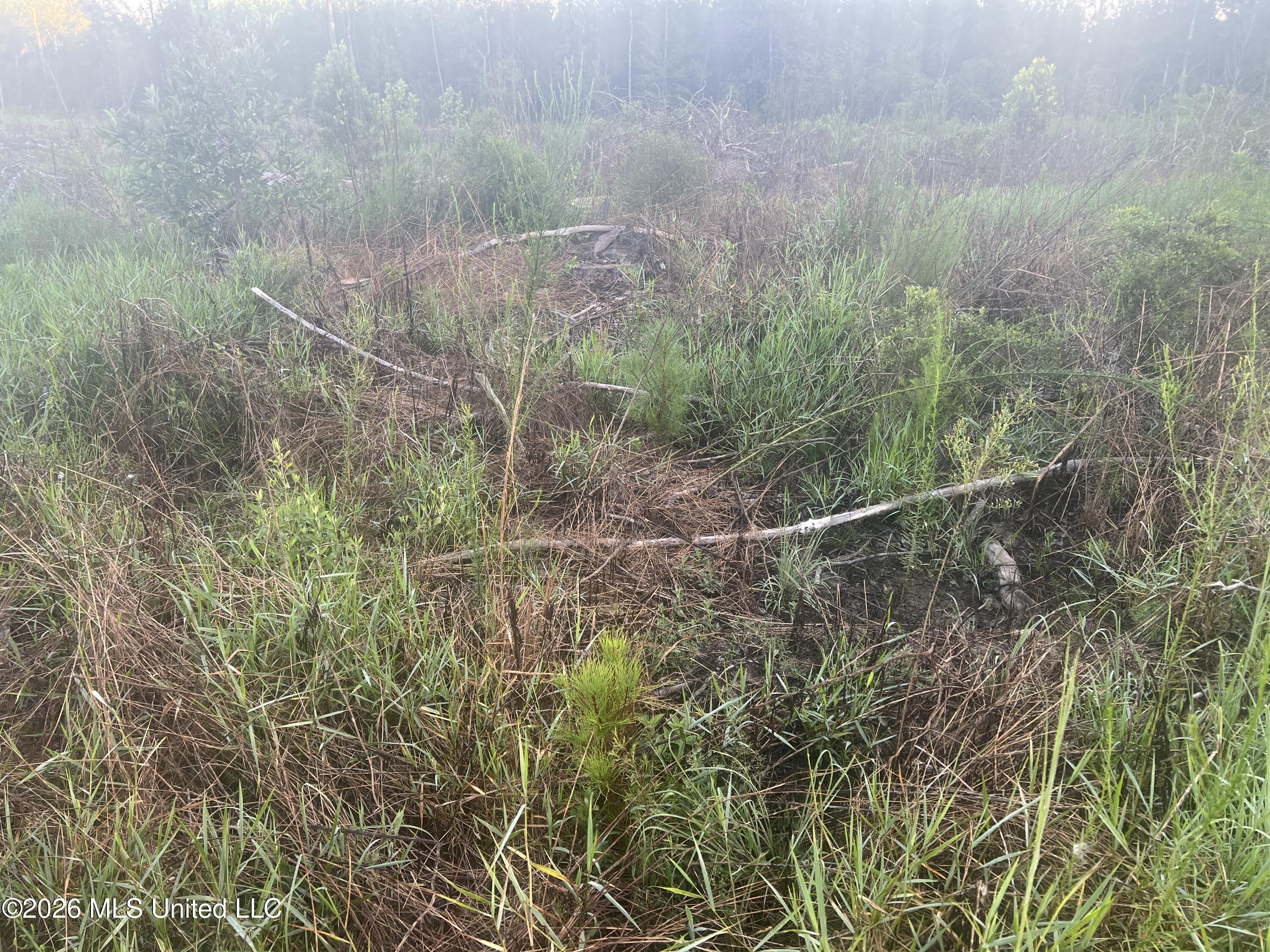 Vernal River Rd Property Photo 6