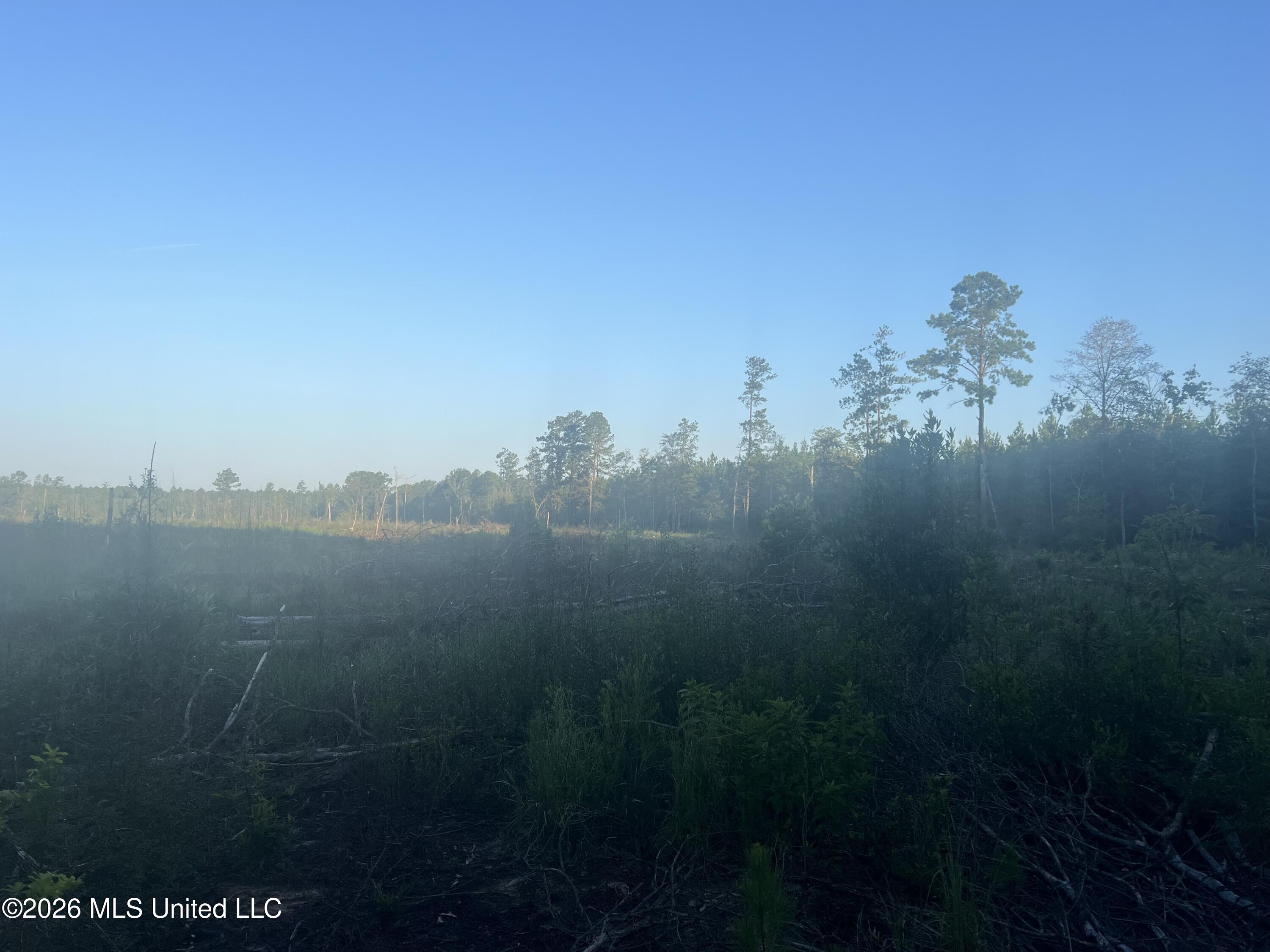 Vernal River Property Photo 3