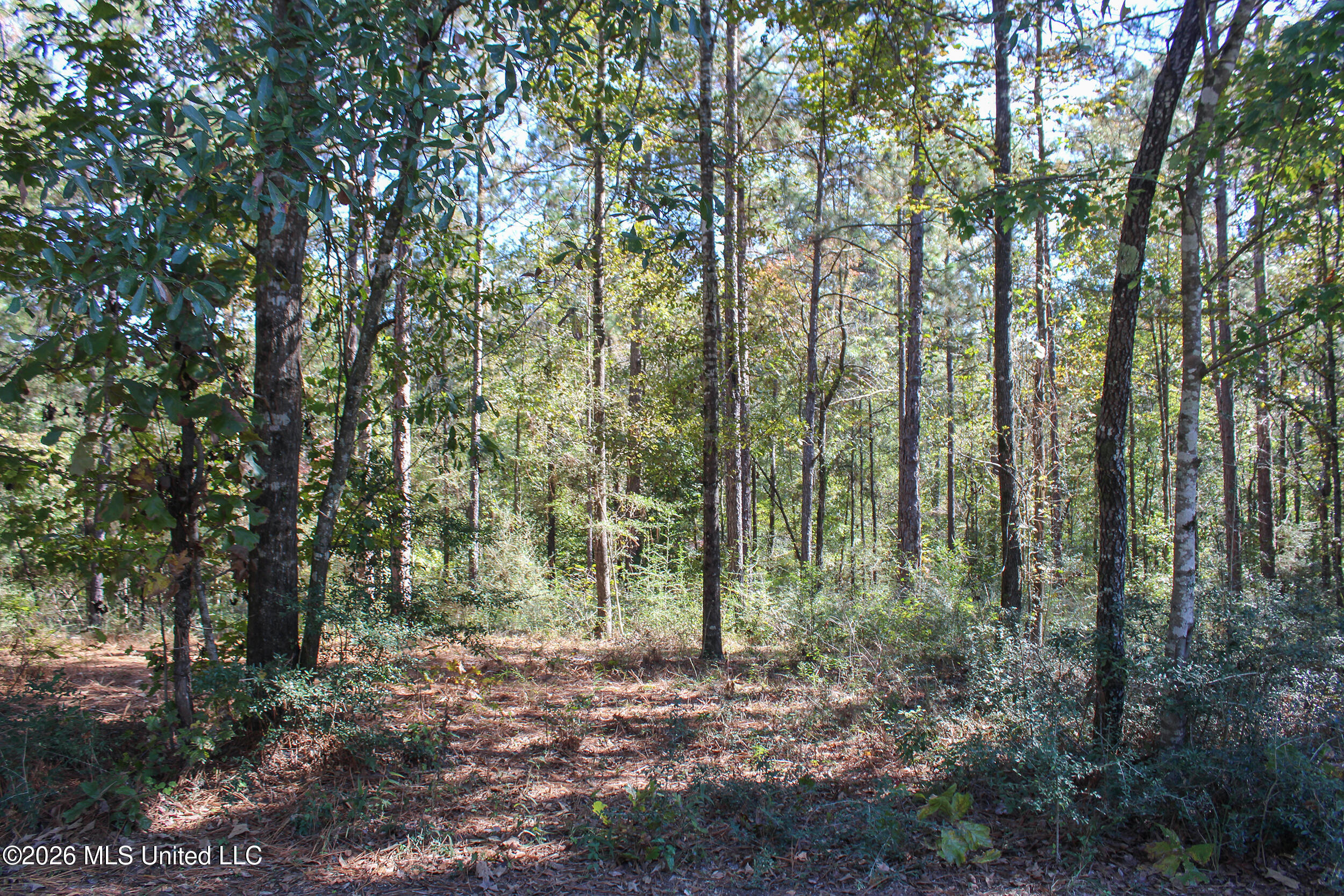 Marshal Place Property Photo 1