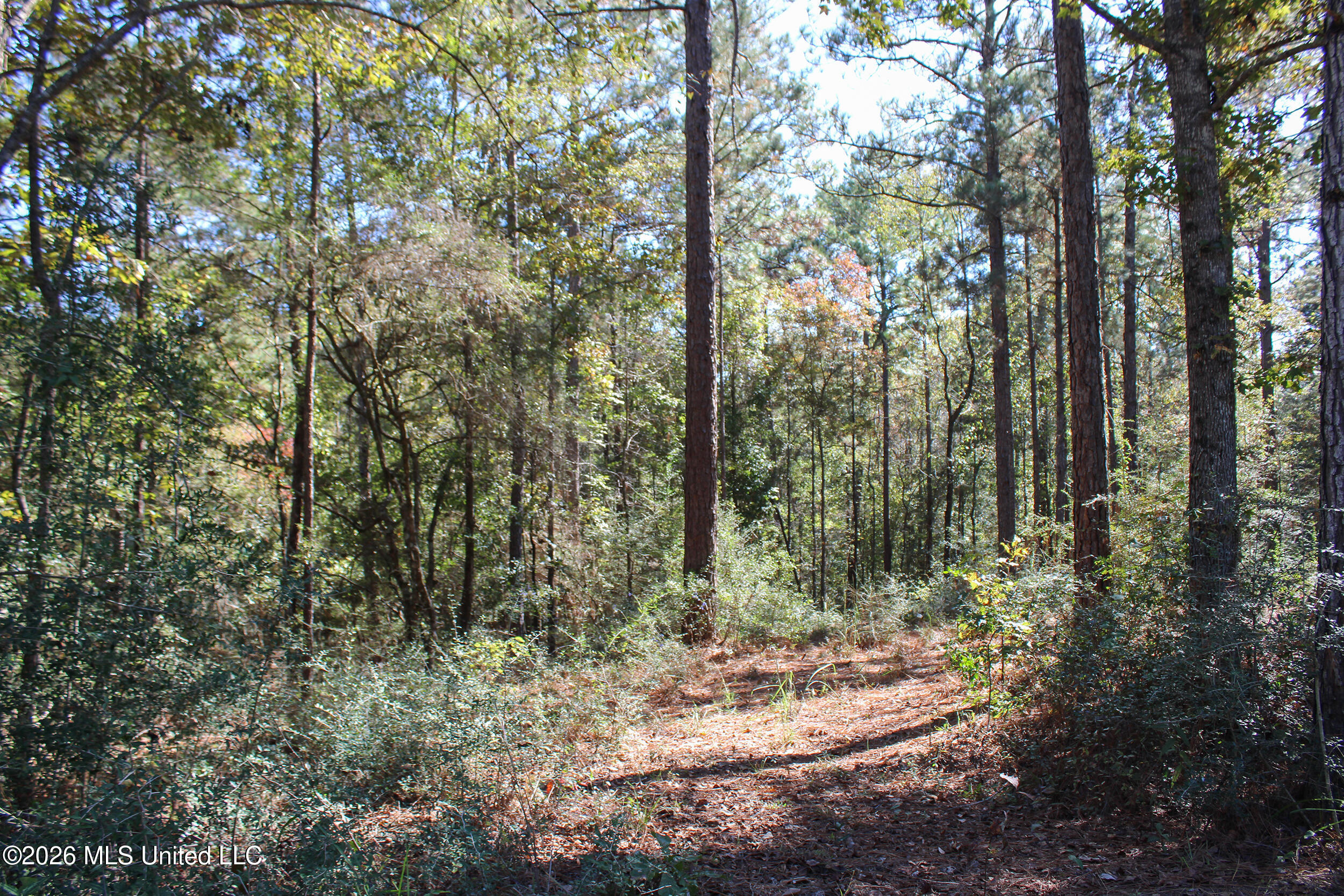 Marshal Place Property Photo 3